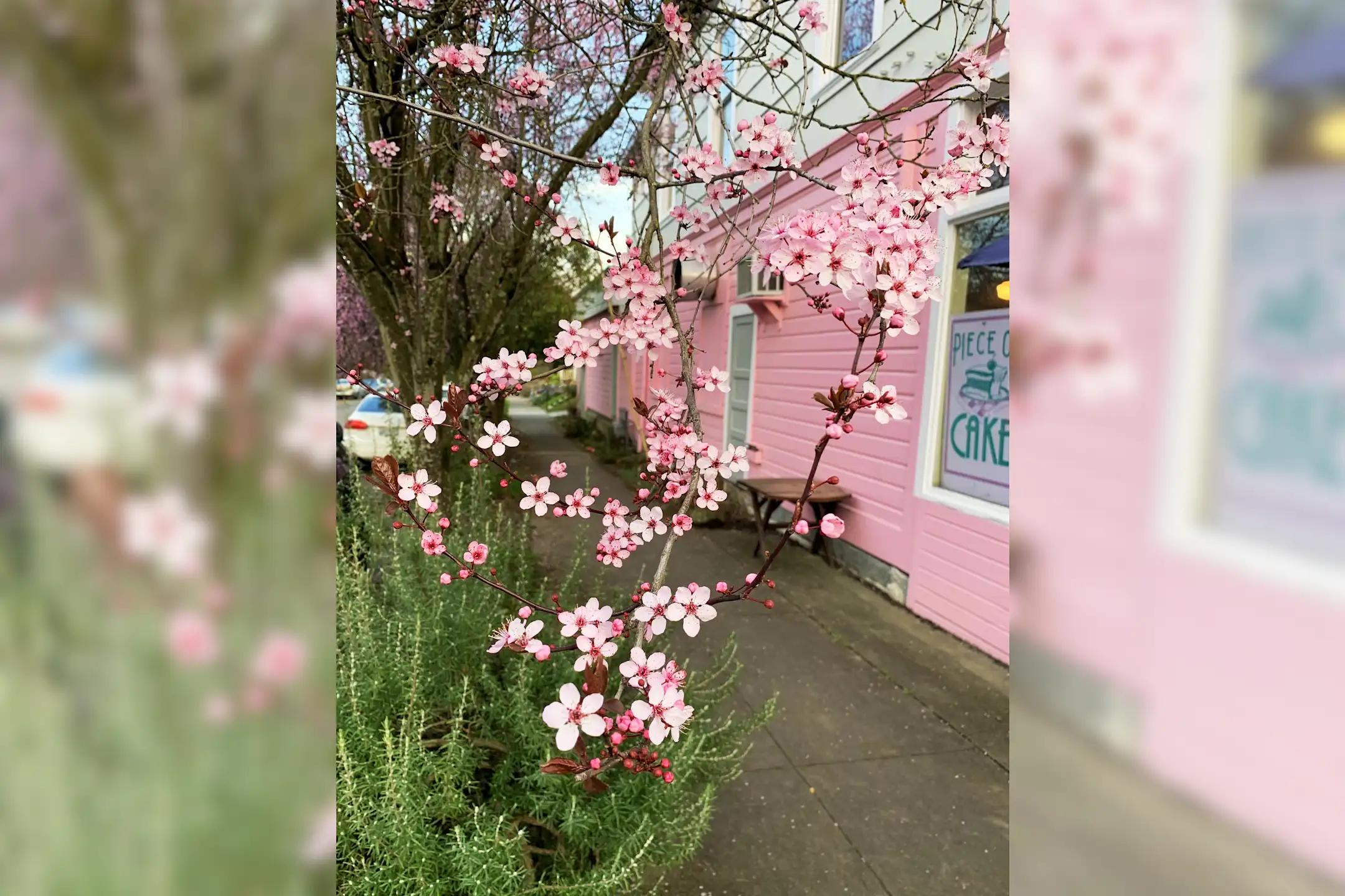 The Sellina 1717 SE Tenino St Portland, OR Apartments for Rent Rent.