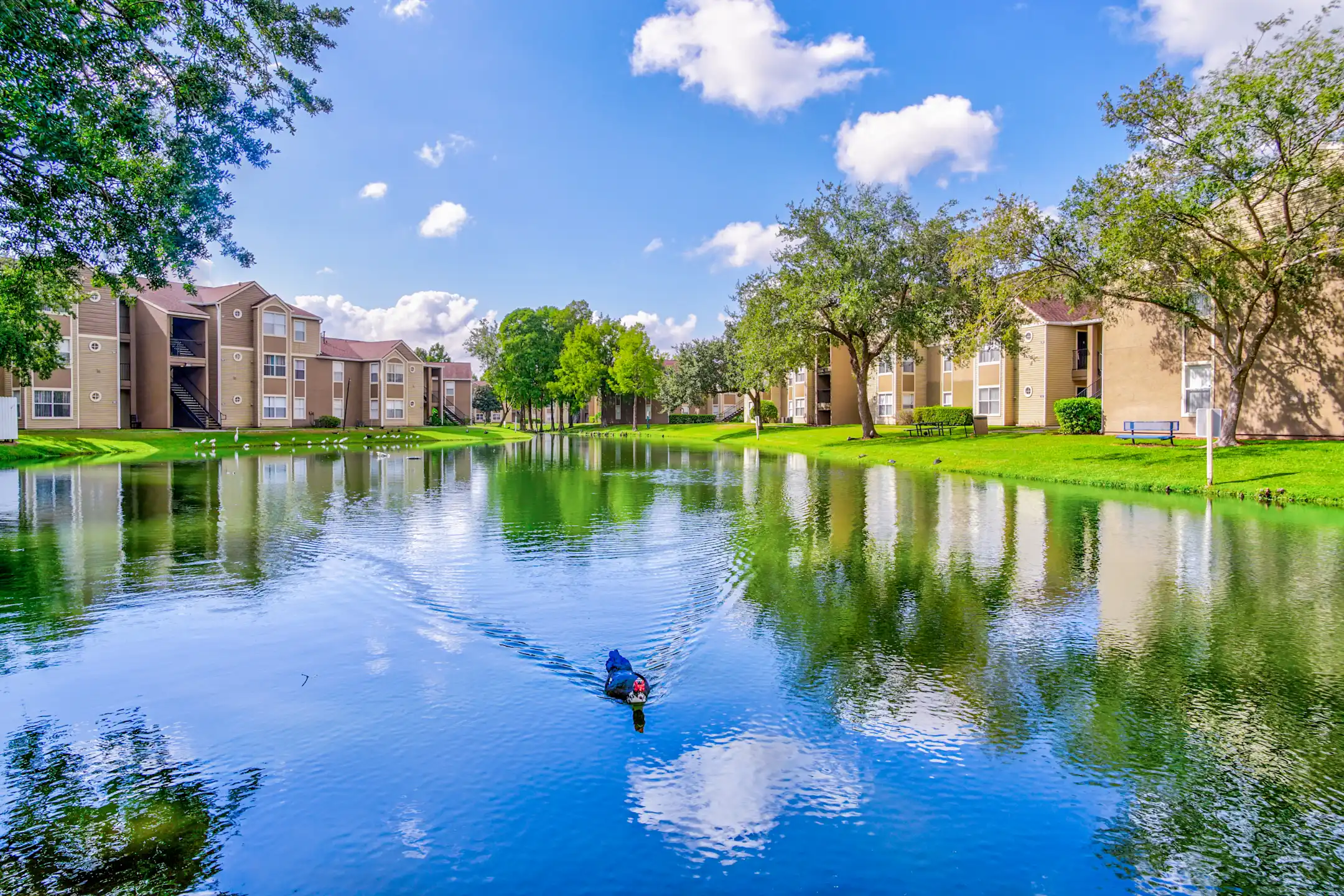 Lake - Cricket Club - Orlando, FL