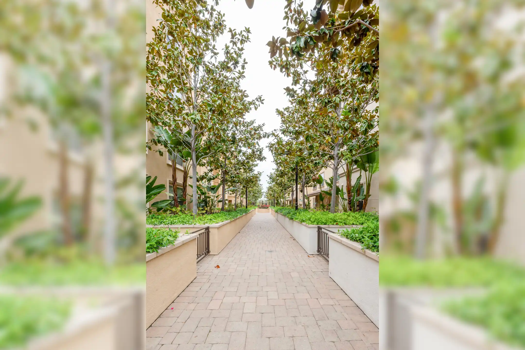 Pacific Ridge Apartments San Diego, CA 92110