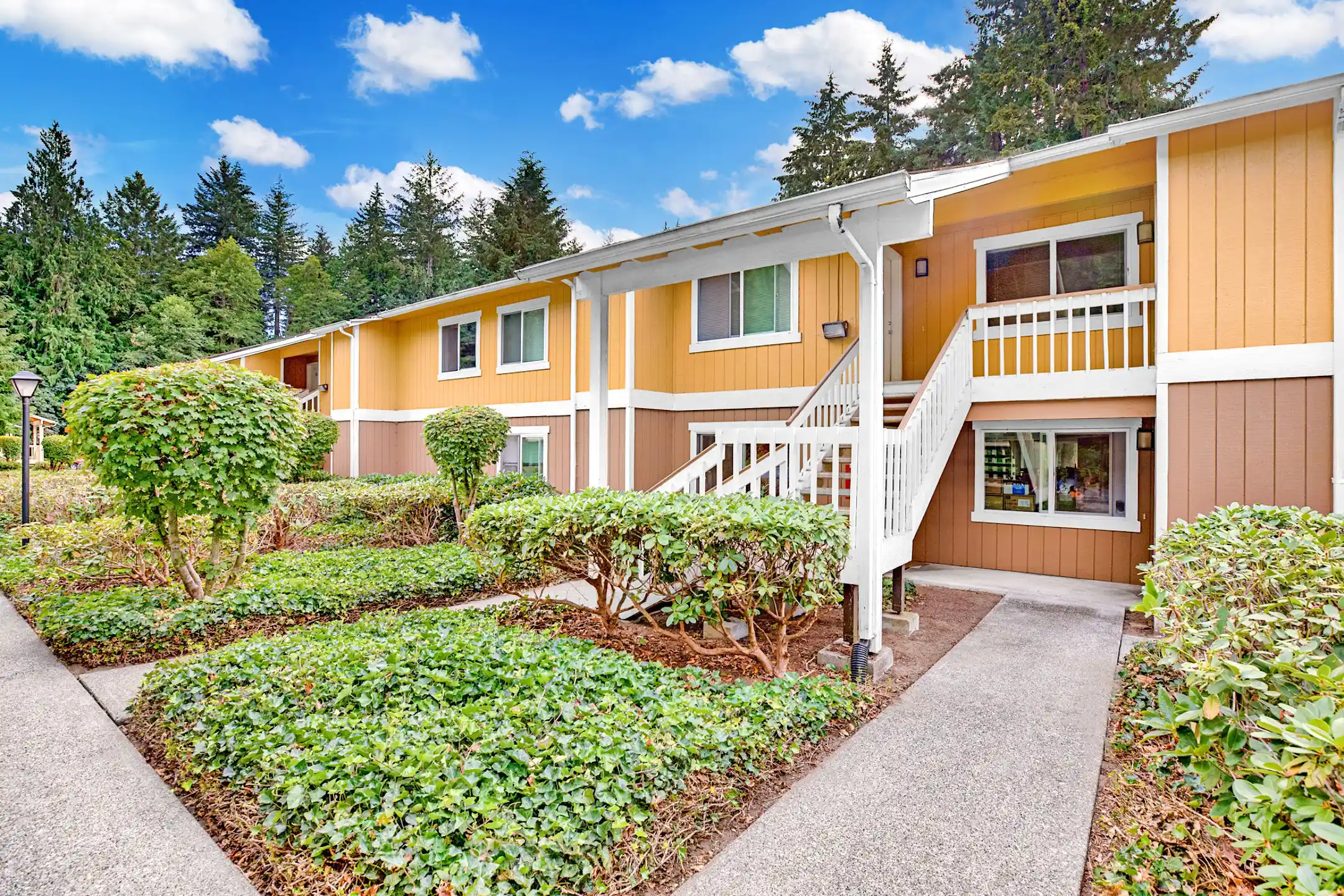 Forest Grove Apartments Apartments Lacey, WA 98503