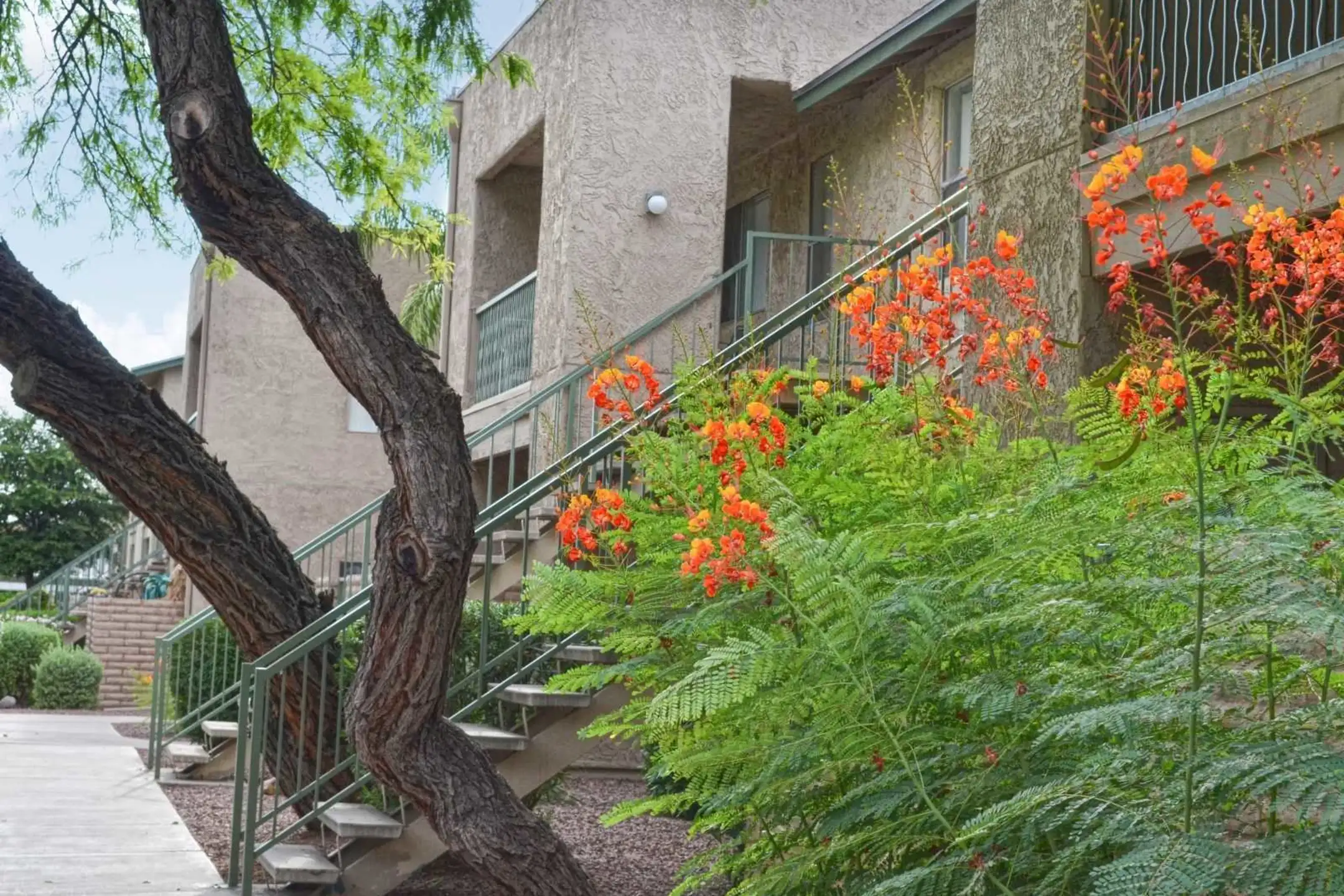 Sand Pebble Apartments - 3250 E Fort Lowell Rd | Tucson, AZ Apartments 