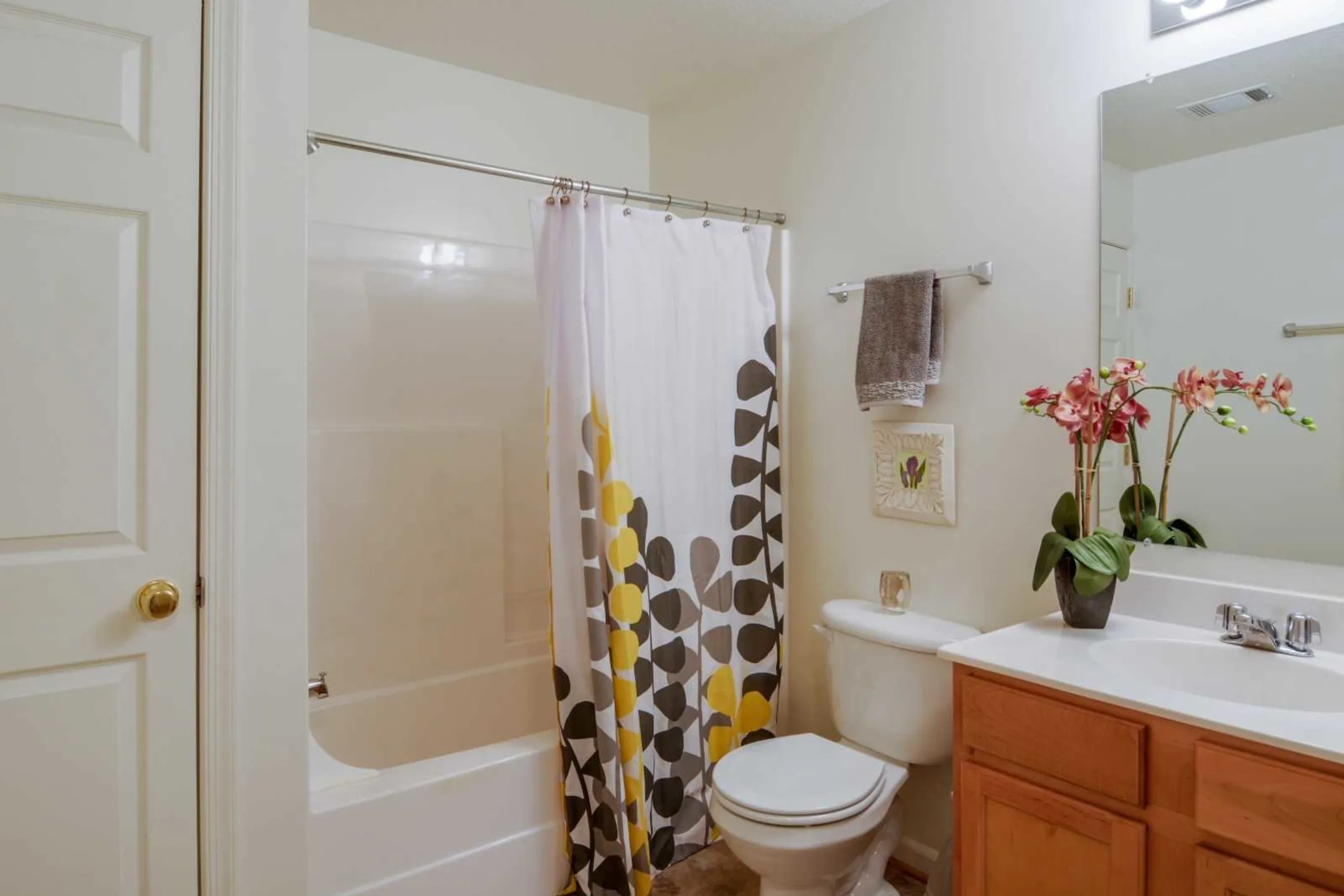 Bathroom - The Vistas at Dreaming Creek - Lynchburg, VA