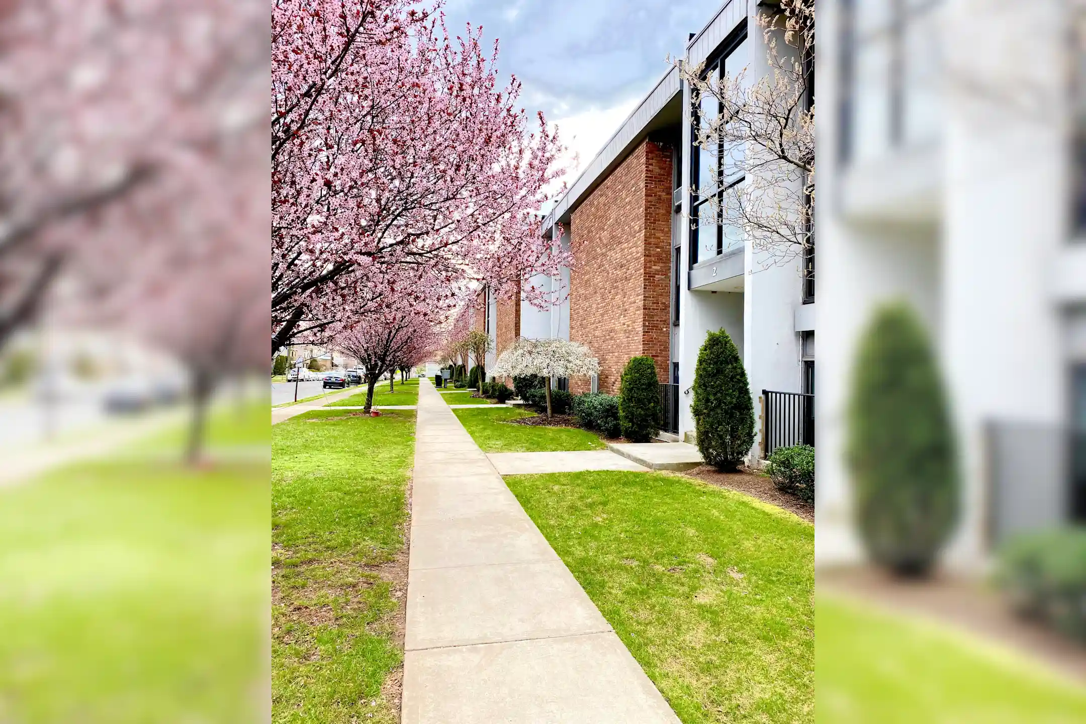 Woodbine Living 1 Woodbine Ave Avenel, NJ Apartments for Rent Rent.