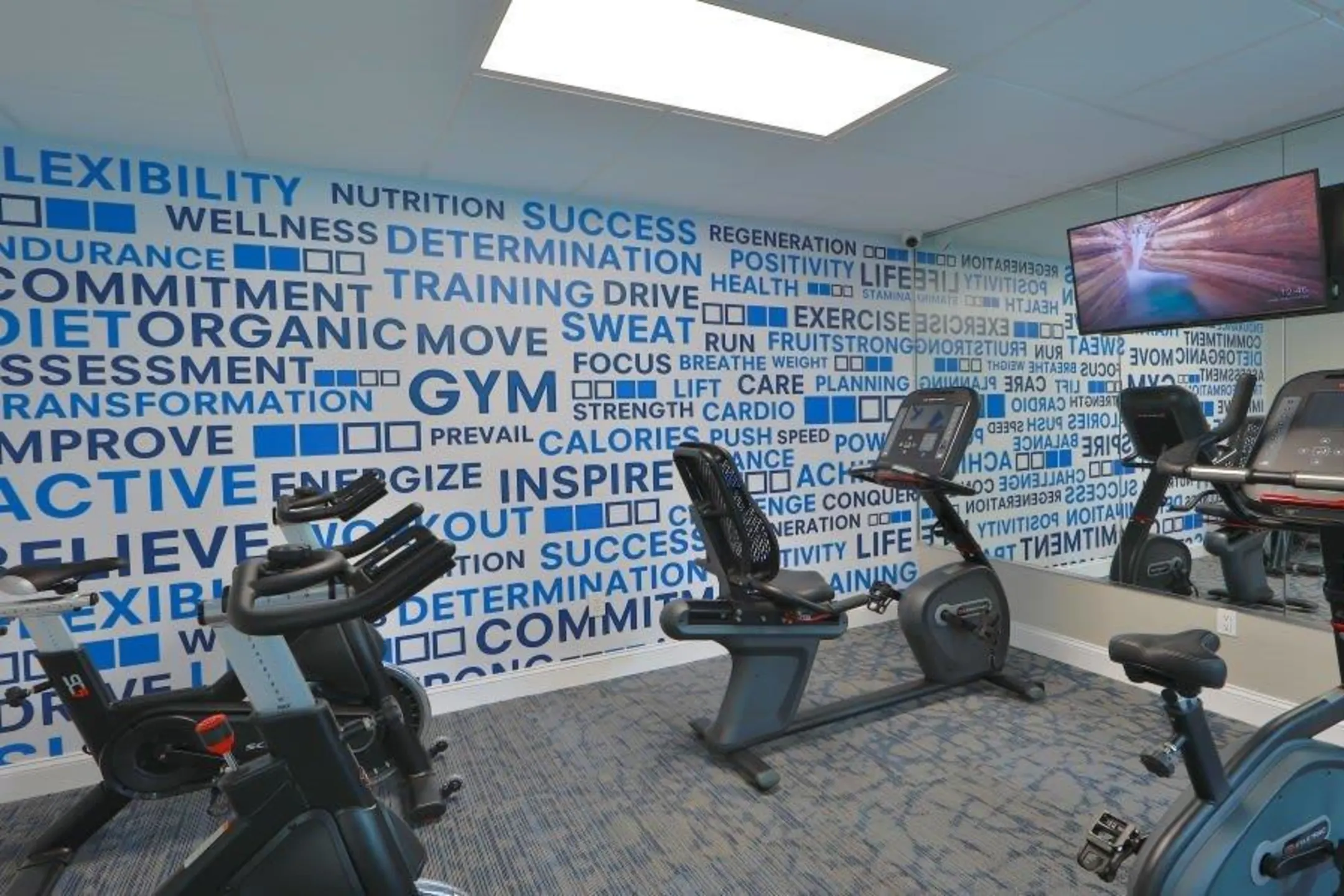 Fitness Weight Room - Willow Run at Mark Center - Alexandria, VA