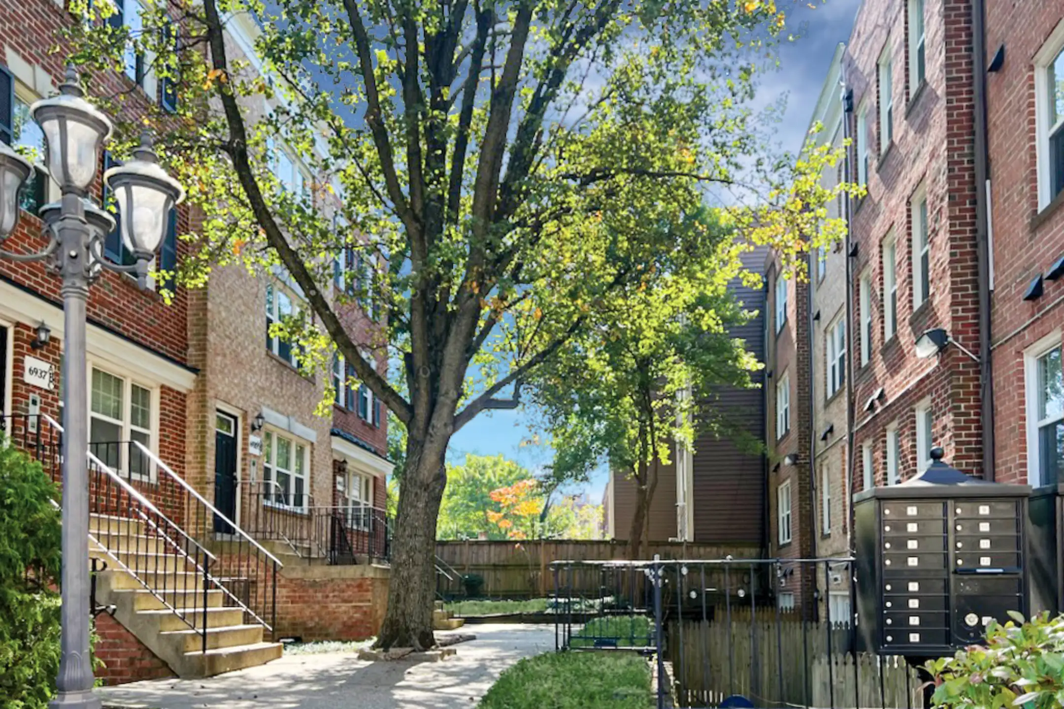 Building - Georgia Towns - Washington, DC