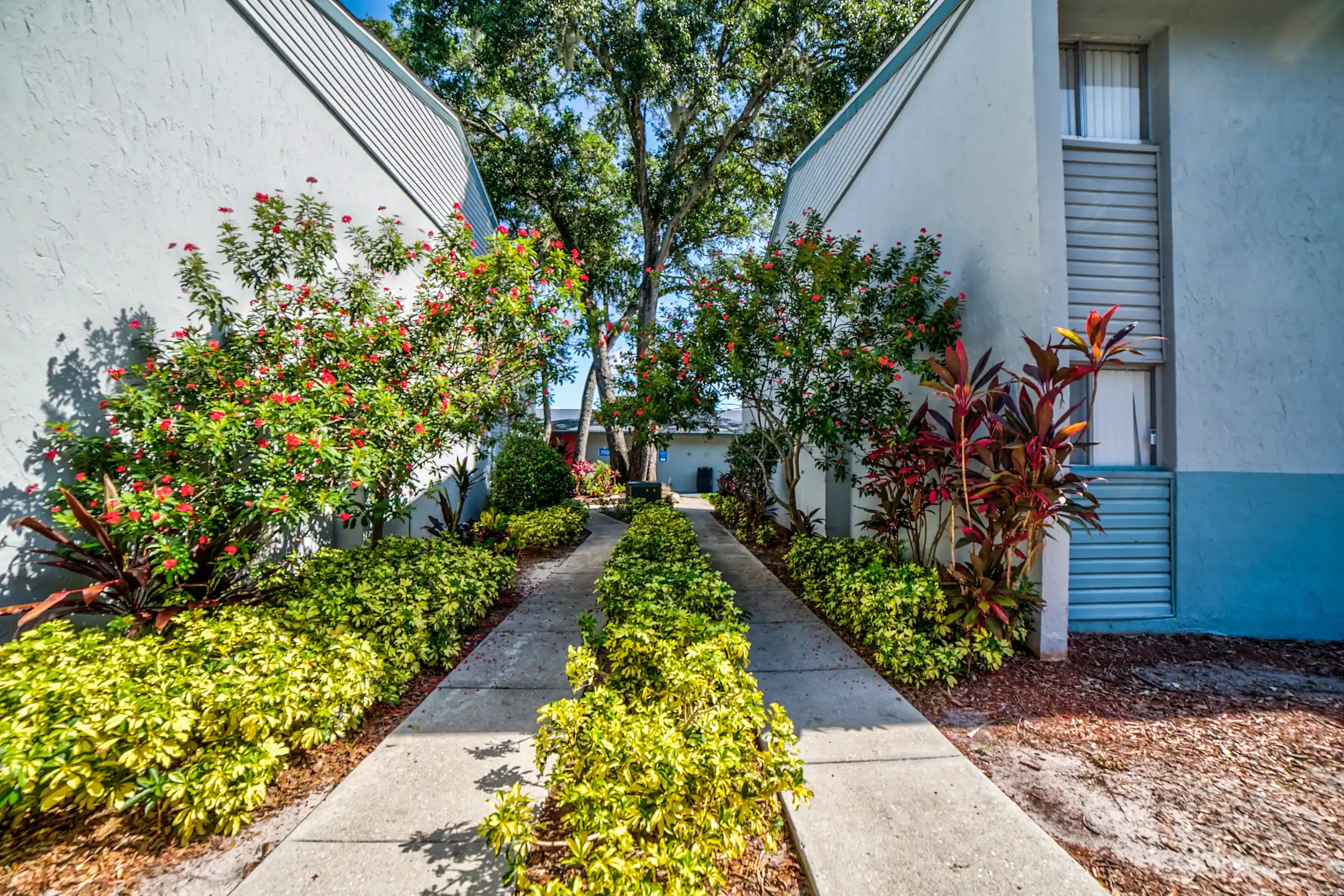 Apartments On Florida Blvd