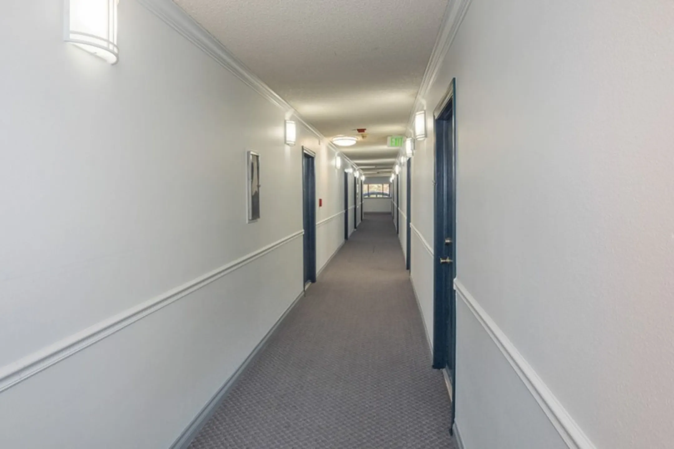 The Social Stadium Walk