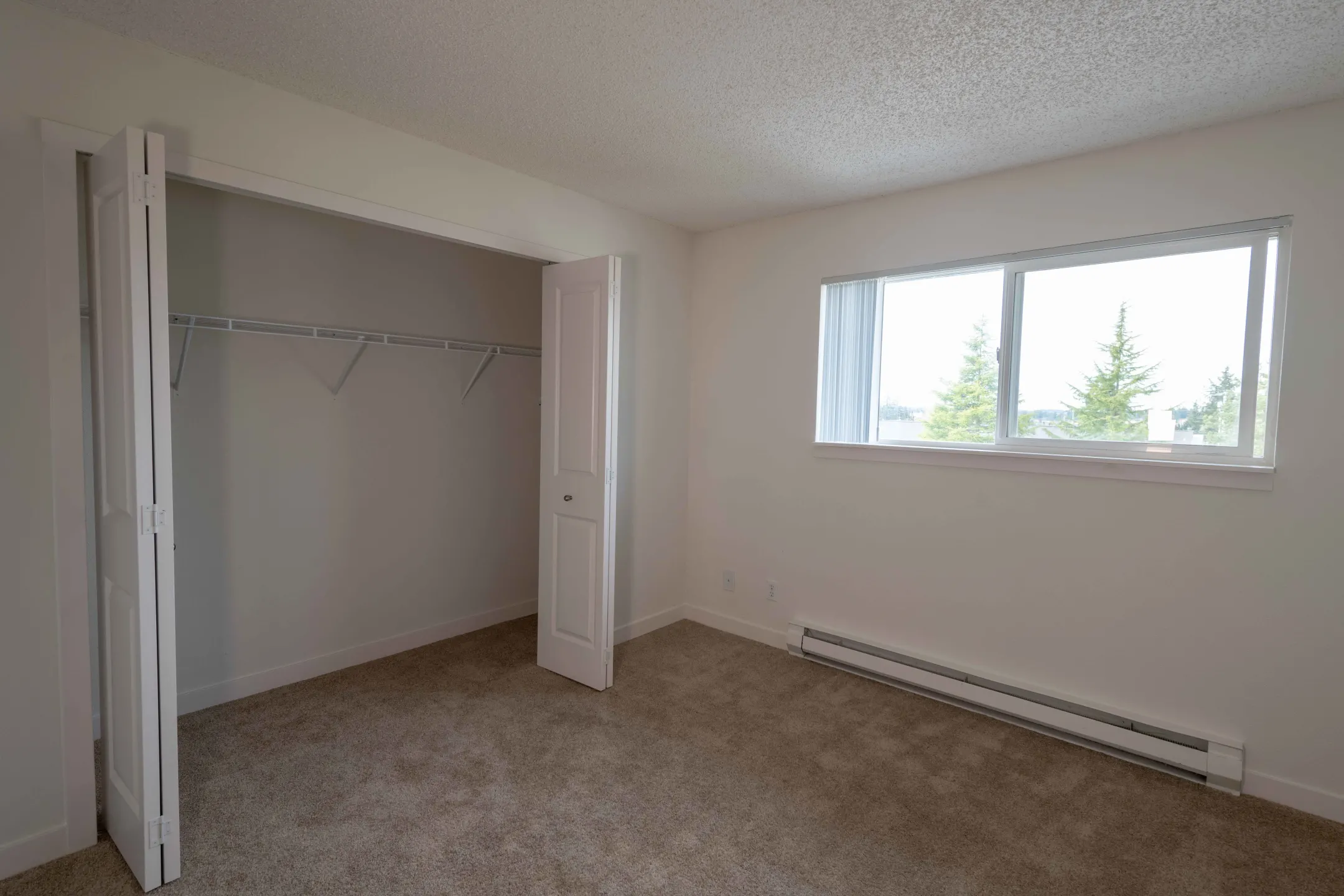 1 Bedroom Apartments Mountlake Terrace