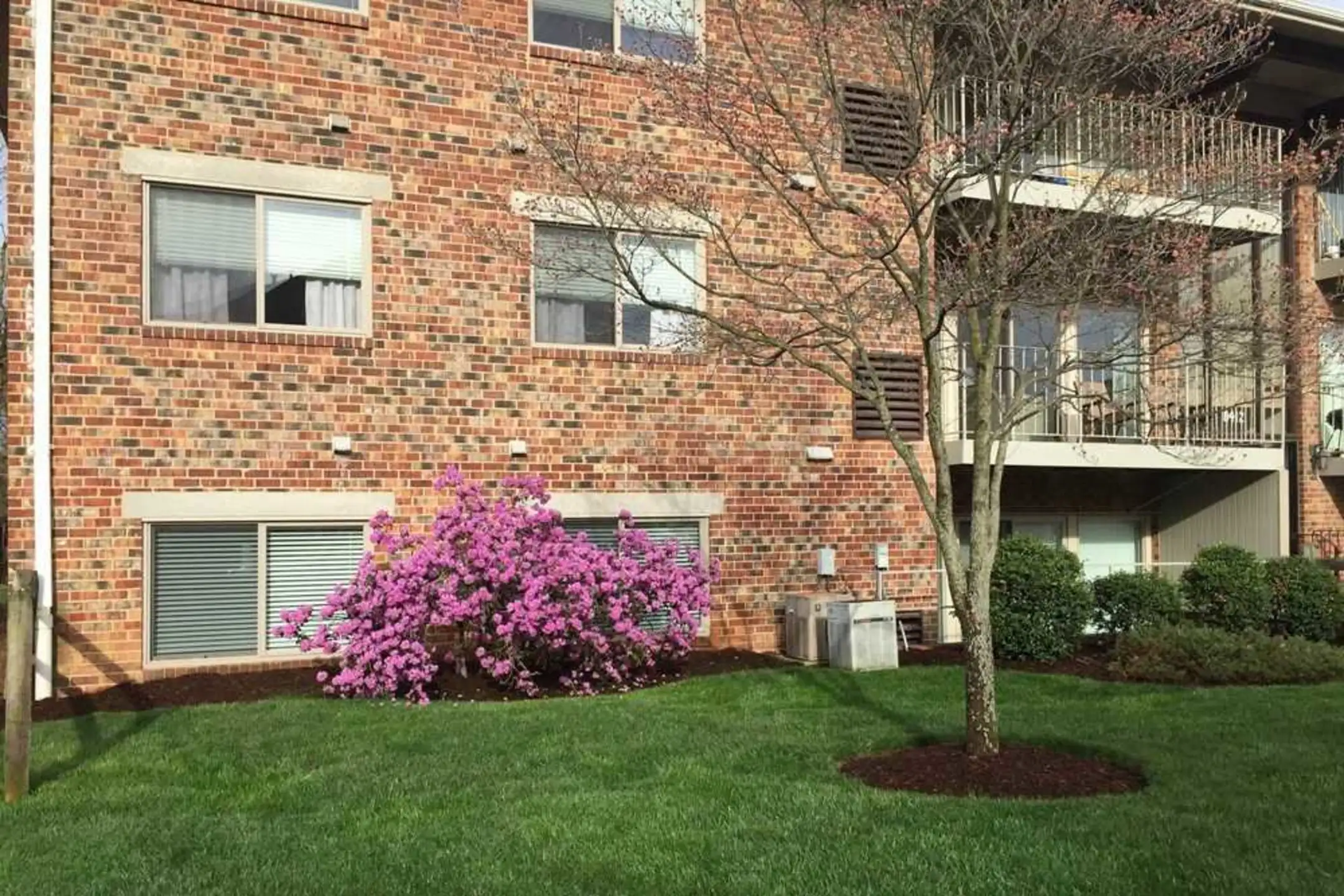 Skyview Apartments For Rent