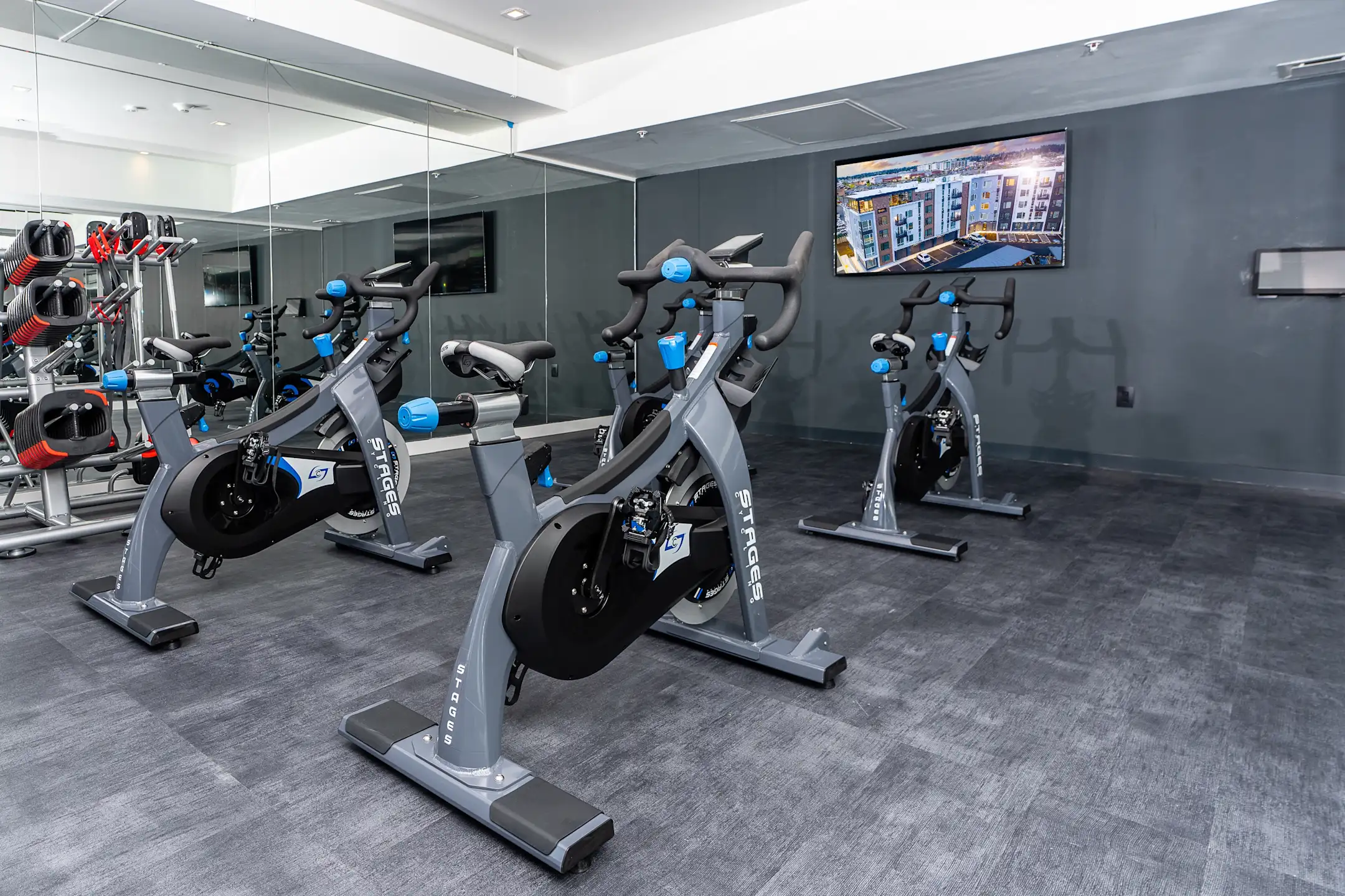 Fitness Weight Room - Alexan Access Apartments - Lynnwood, WA