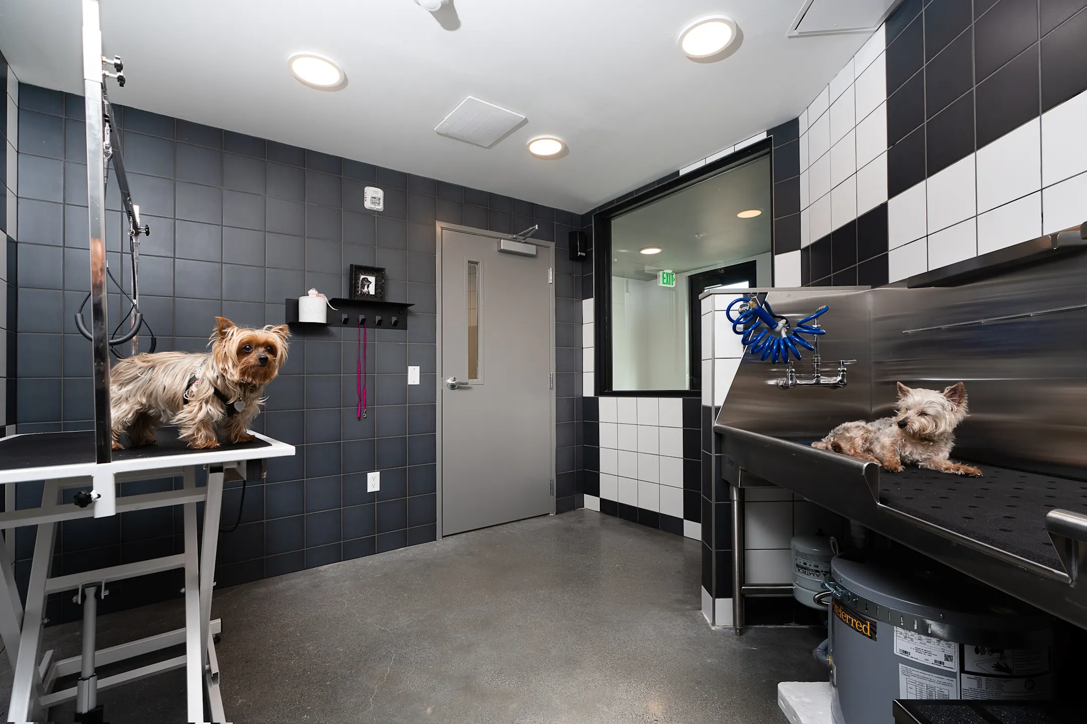 Alexan Access Apartments - Lynnwood, WA
