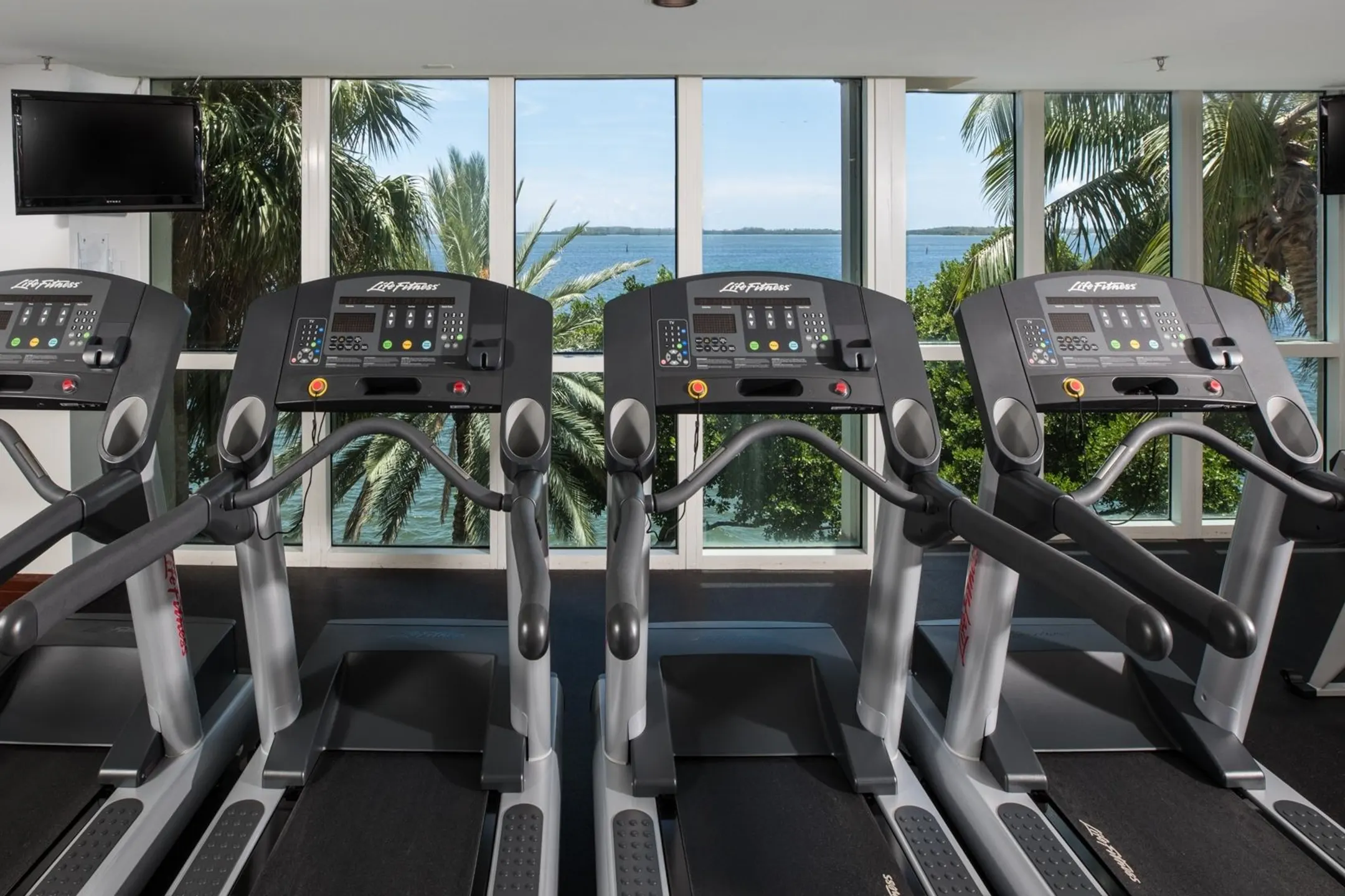 Fitness Weight Room - Yacht Club at Brickell Apartments - Miami, FL