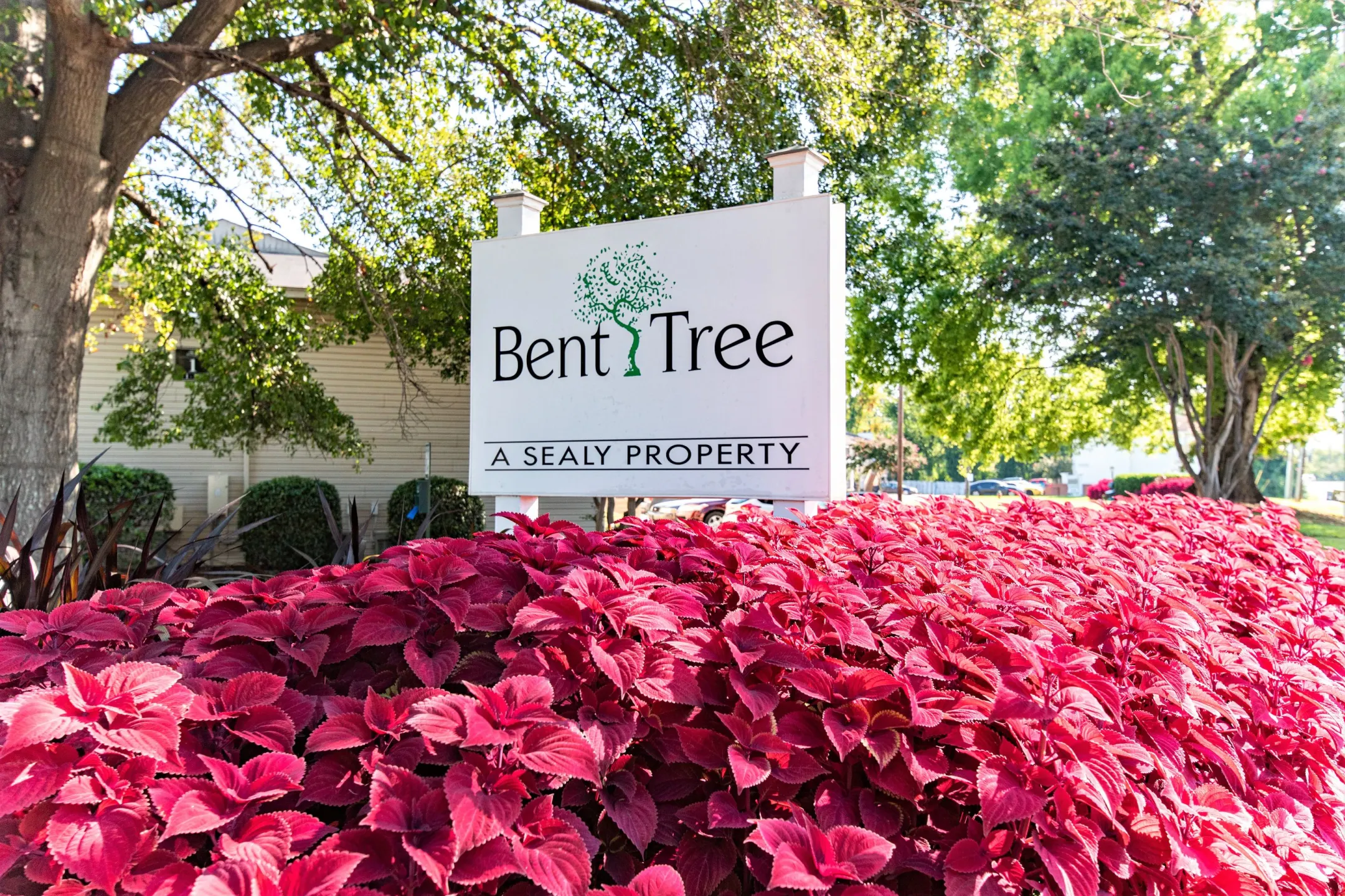 Bent Tree Apartments Apartments Tuscaloosa, AL 35401