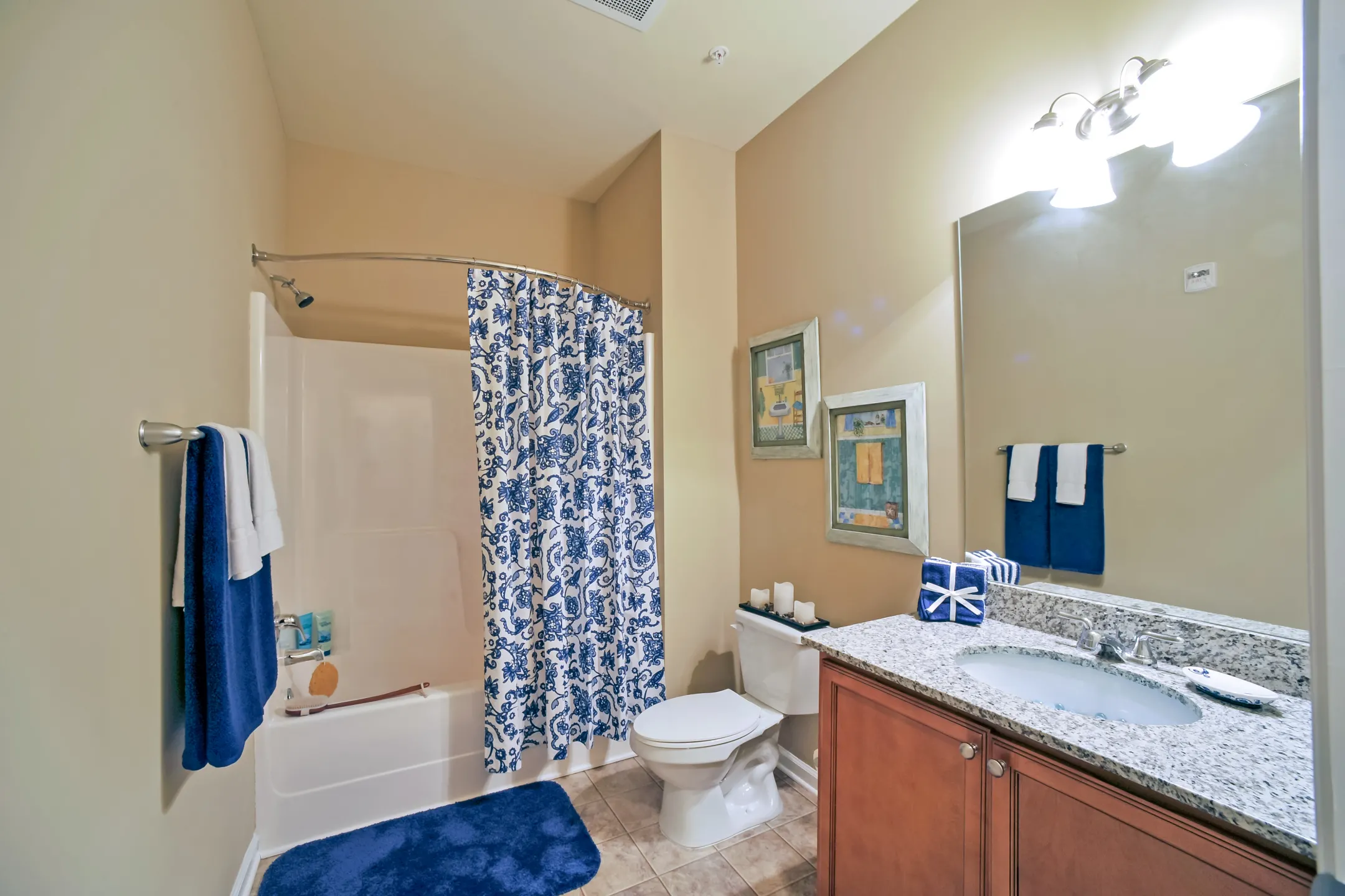 Bathroom - Palisades of Jacksonville Apartments - Jacksonville, NC