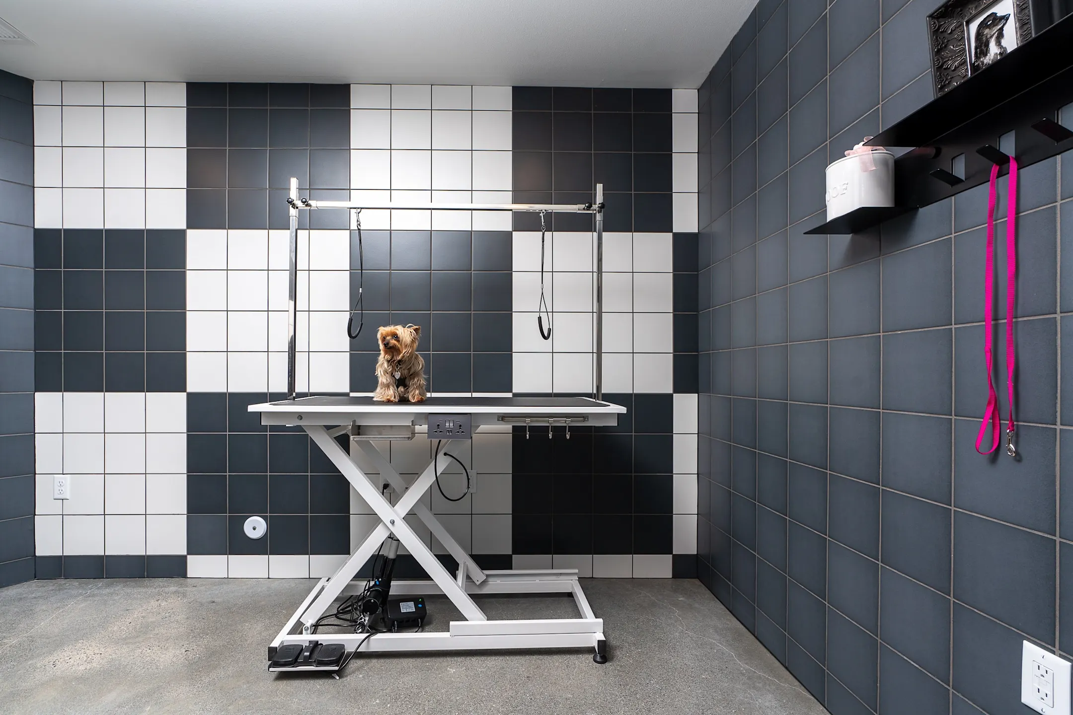 Alexan Access Apartments - Lynnwood, WA