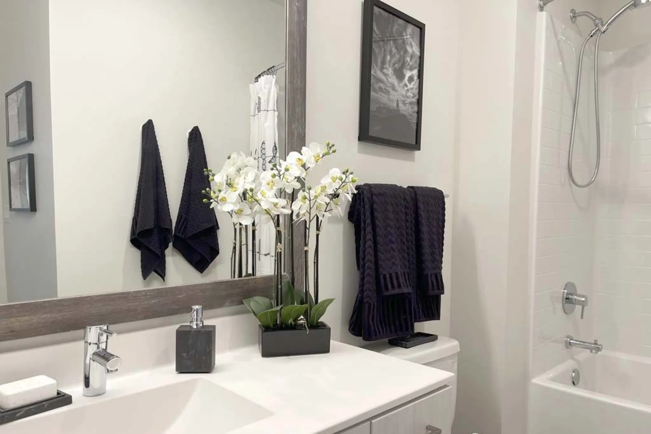 Elevate Apartments Apartments Madison, WI 53718