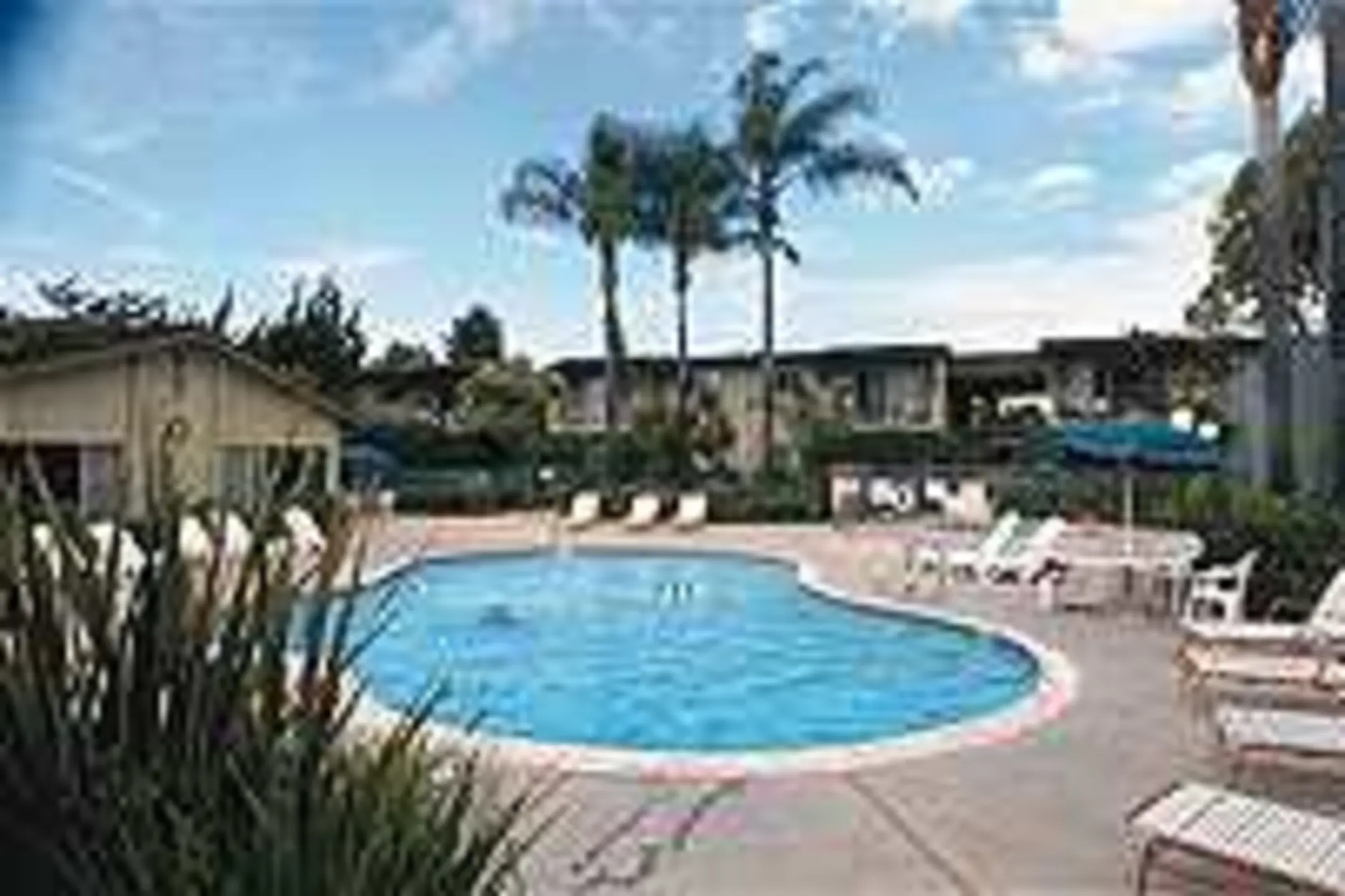 Pool - 1575 Oak Apartment Homes - Vista, CA