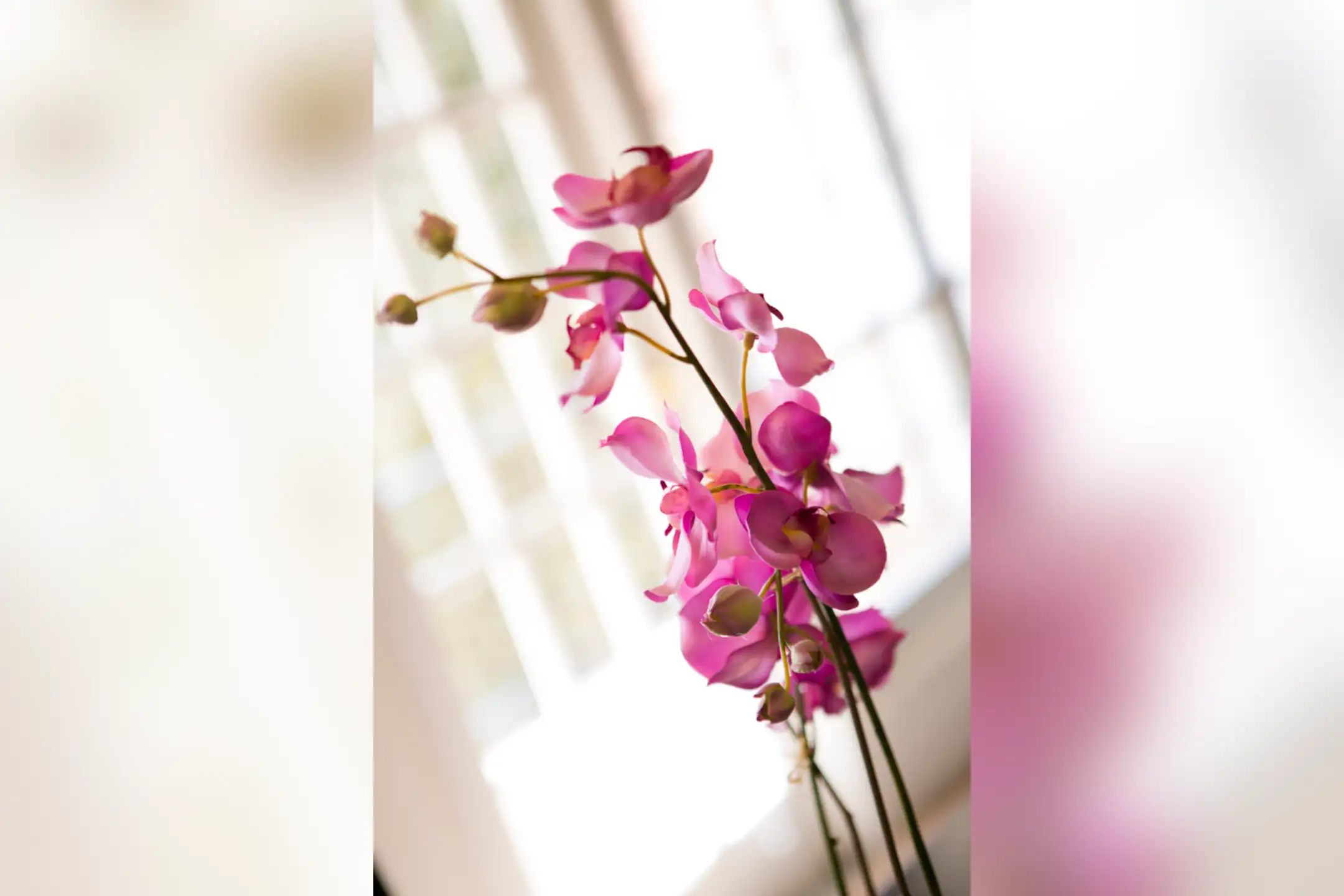 SDK Green Acres Homes Apartments Kingston, PA 18704