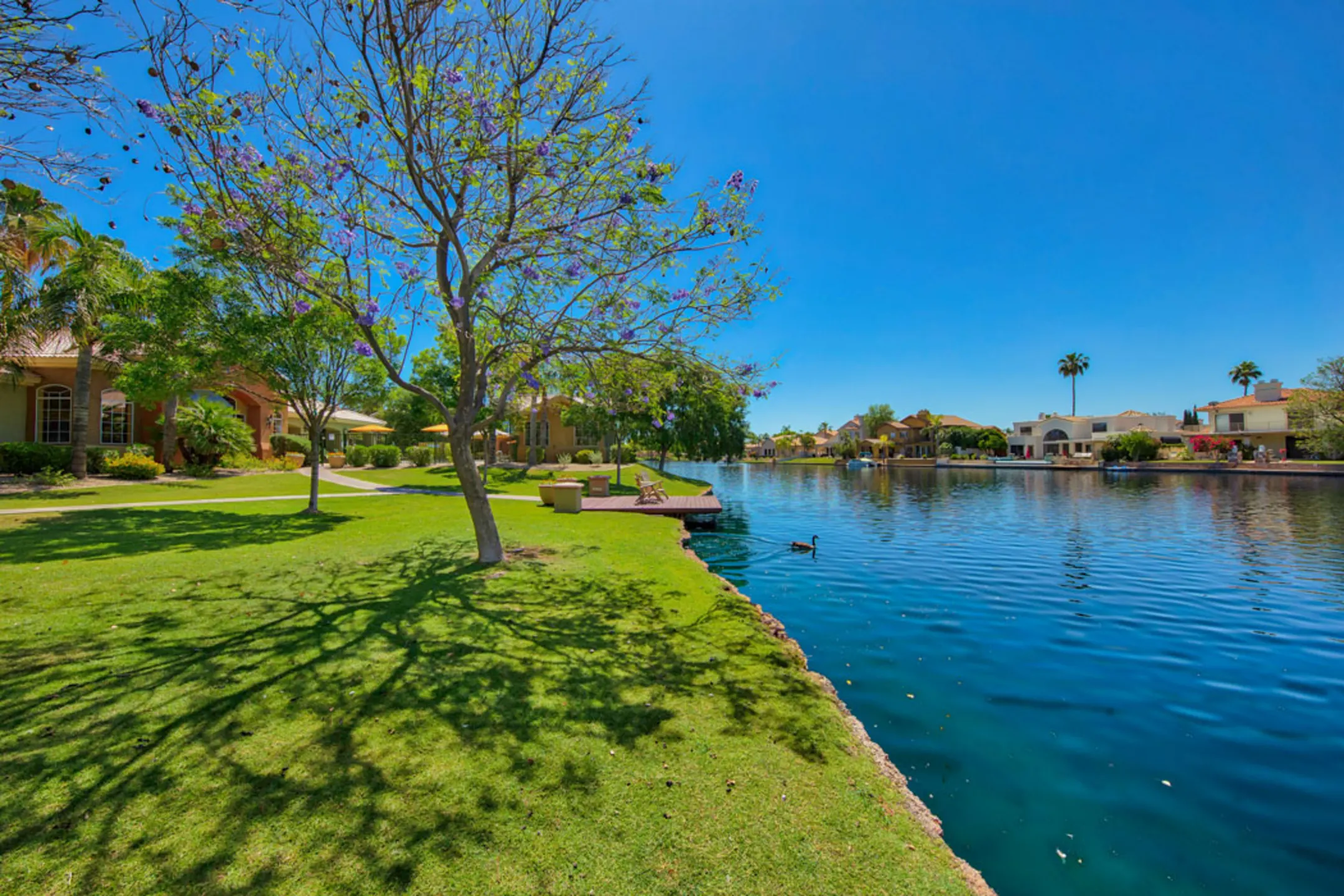 Serena Shores At Val Vista Lakes Apartments - Gilbert, AZ 85234