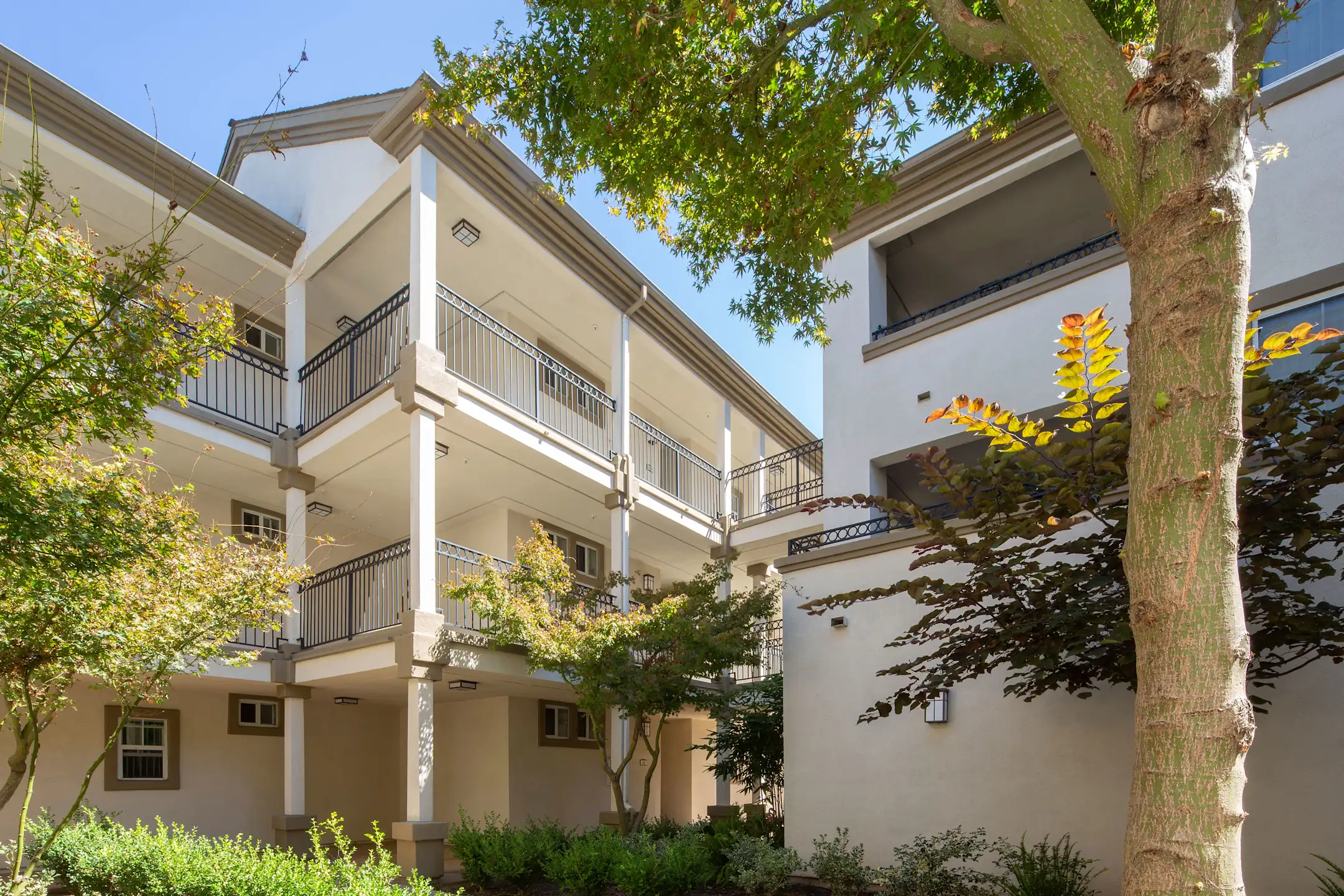 Sycamore Bay 37171 Sycamore St Newark, CA Apartments for Rent Rent.