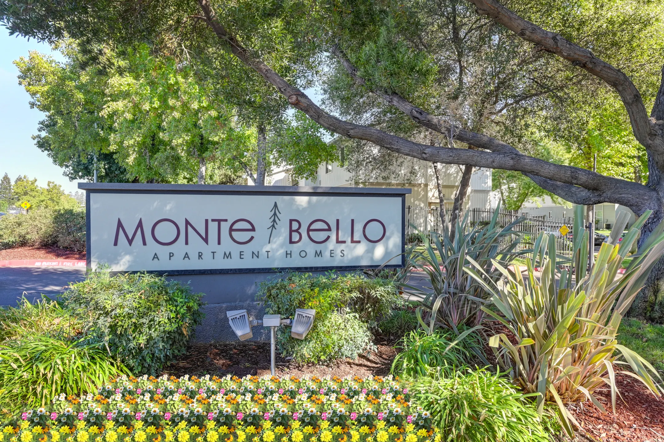 Monte Bello - Sacramento, CA