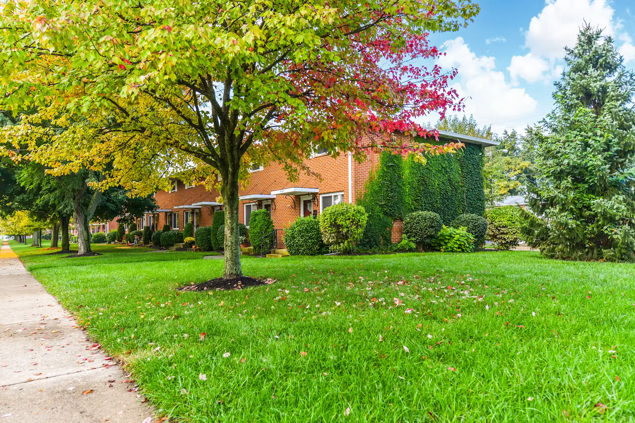 Northridge Apartments 4865 Ridgewood Rd E Springfield, OH Townhomes