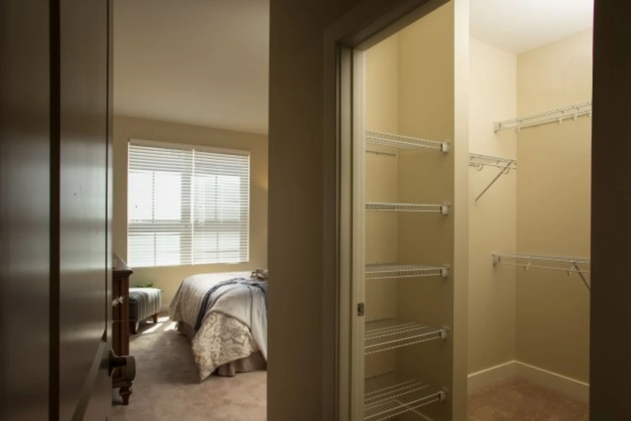 Bedroom - Madison Providence - Collegeville, PA