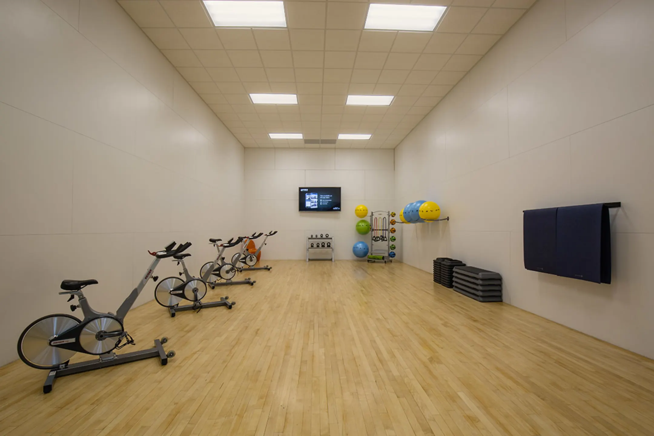 Fitness Weight Room - Willow Lake Apartments - Indianapolis, IN