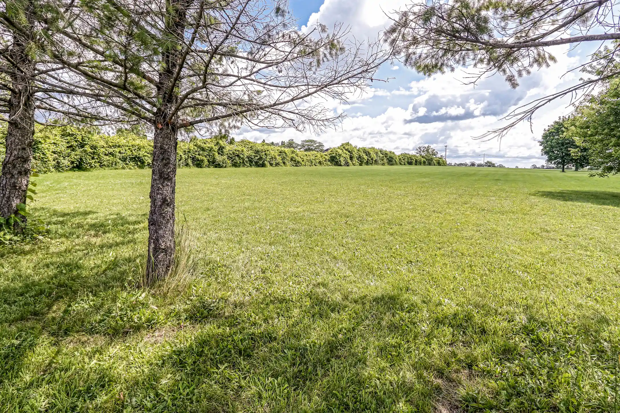 Spring Meadows 5854 State Route 96 Romulus, NY Apartments for Rent