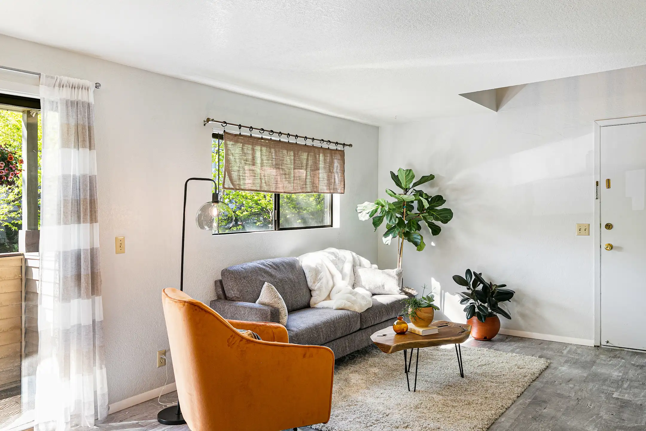 Ascent Bodo 509 S 13th St Boise, ID Apartments for Rent Rent.