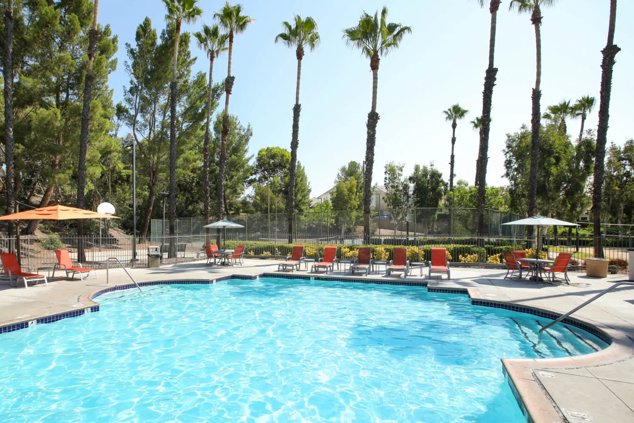 Pool - Siena Terrace - Lake Forest, CA