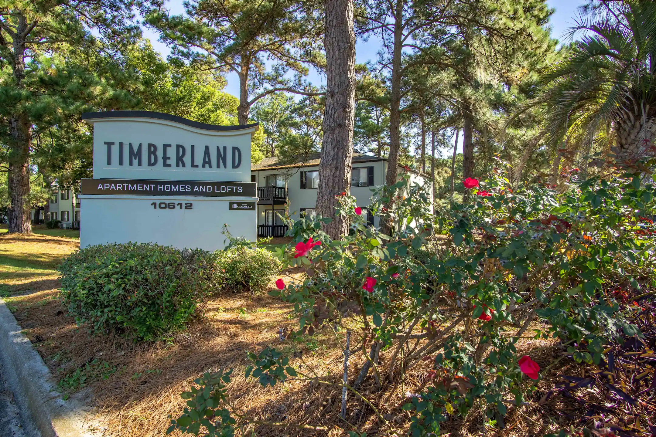 Timberland Lofts Apartments Savannah, GA 31419