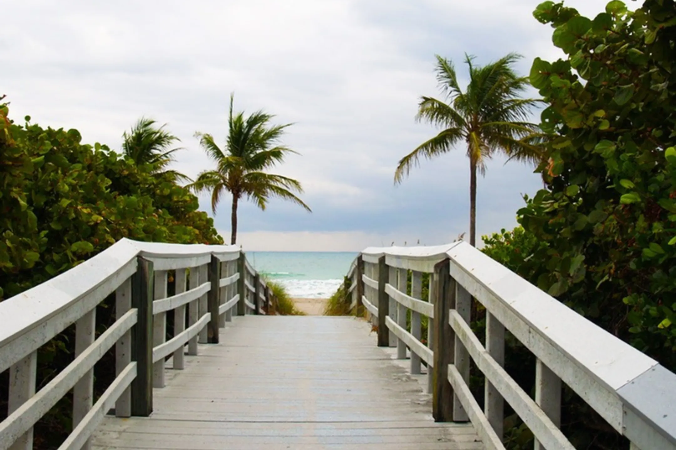 Sea View at Dania 601 E Dania Beach Blvd Dania Beach, FL Apartments