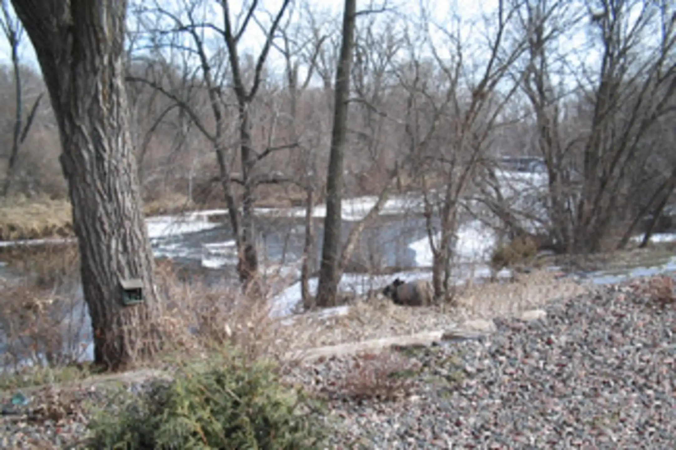 Riverside Apartments 106 4th Ave S Princeton, MN Apartments for