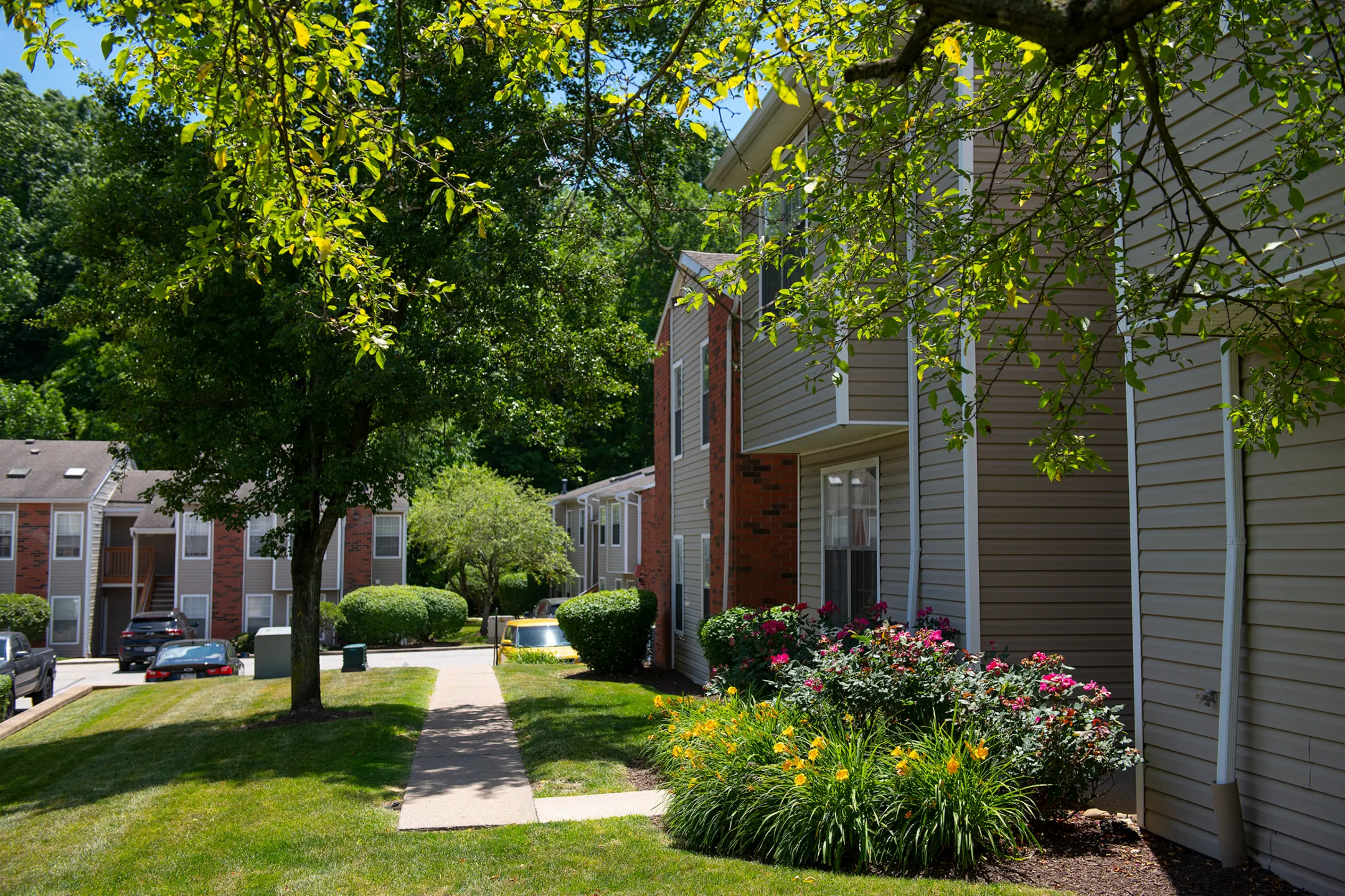 Chestnut Ridge 3200 Chestnut Ridge Dr Pittsburgh, PA Apartments for