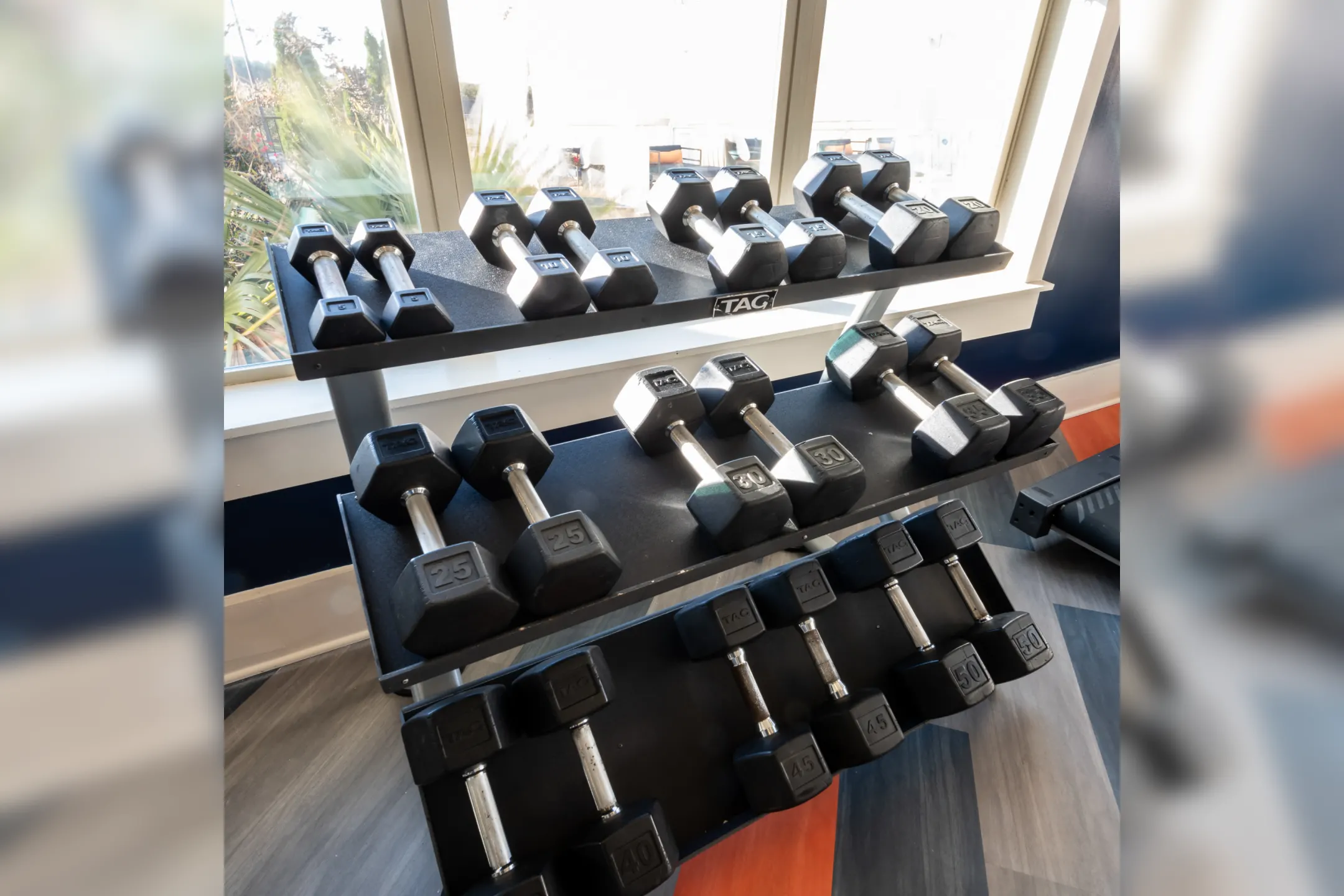 Fitness Weight Room - The Crest At Brier Creek Apartments - Raleigh, NC