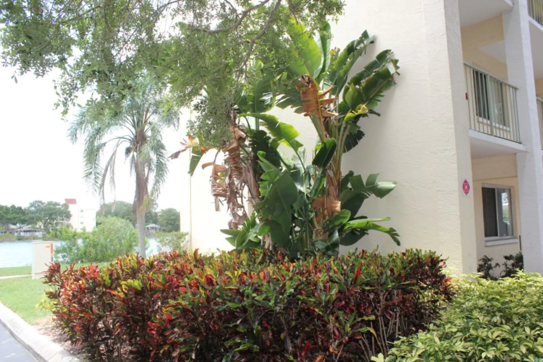 Lakes at Largo 11444 137th St Largo, FL Apartments for Rent Rent.