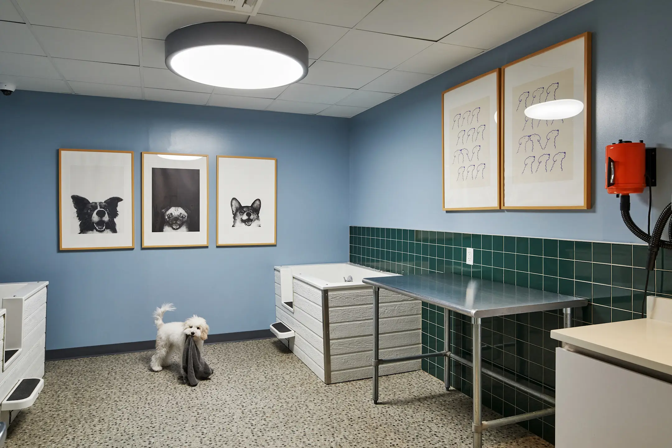 The James Apartments Park Ridge, NJ 07656