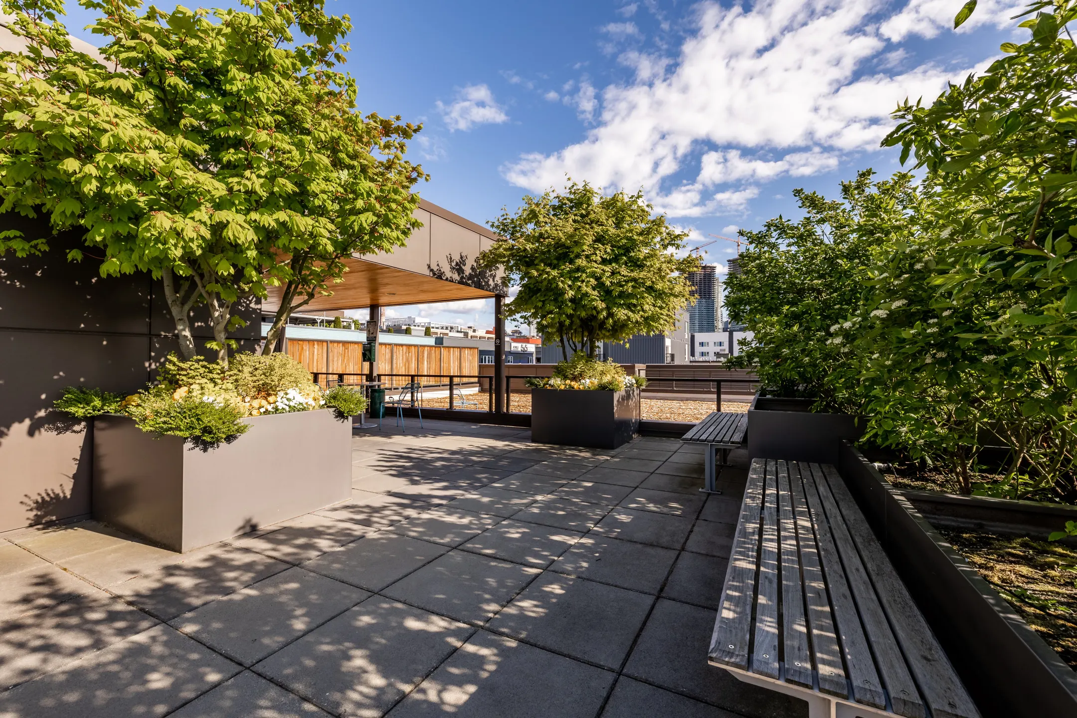 Patio / Deck - Rivet Apartments - Seattle, WA