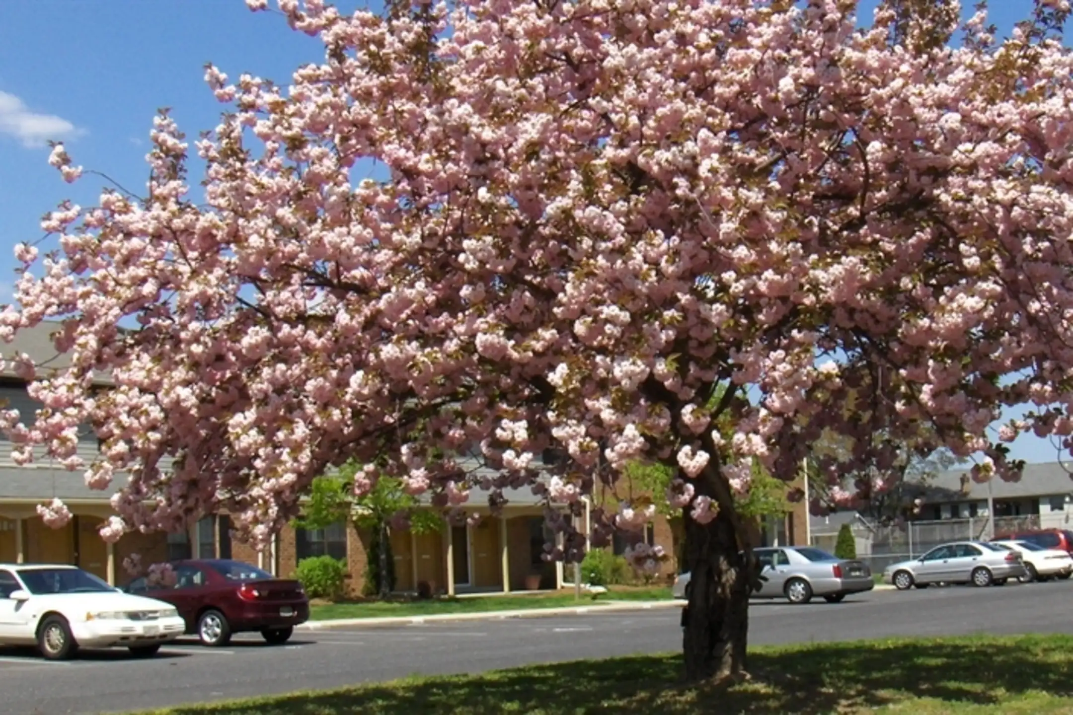 Millbridge Gardens Apartments Clementon, NJ 08021