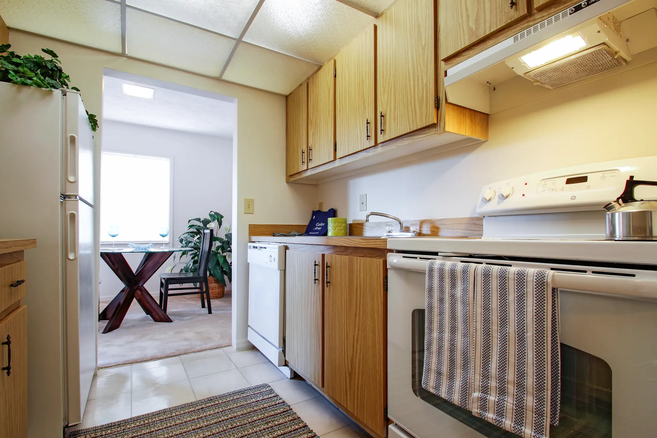 Carlton Arms North 6400 Markstown Dr Tampa, FL Apartments for Rent