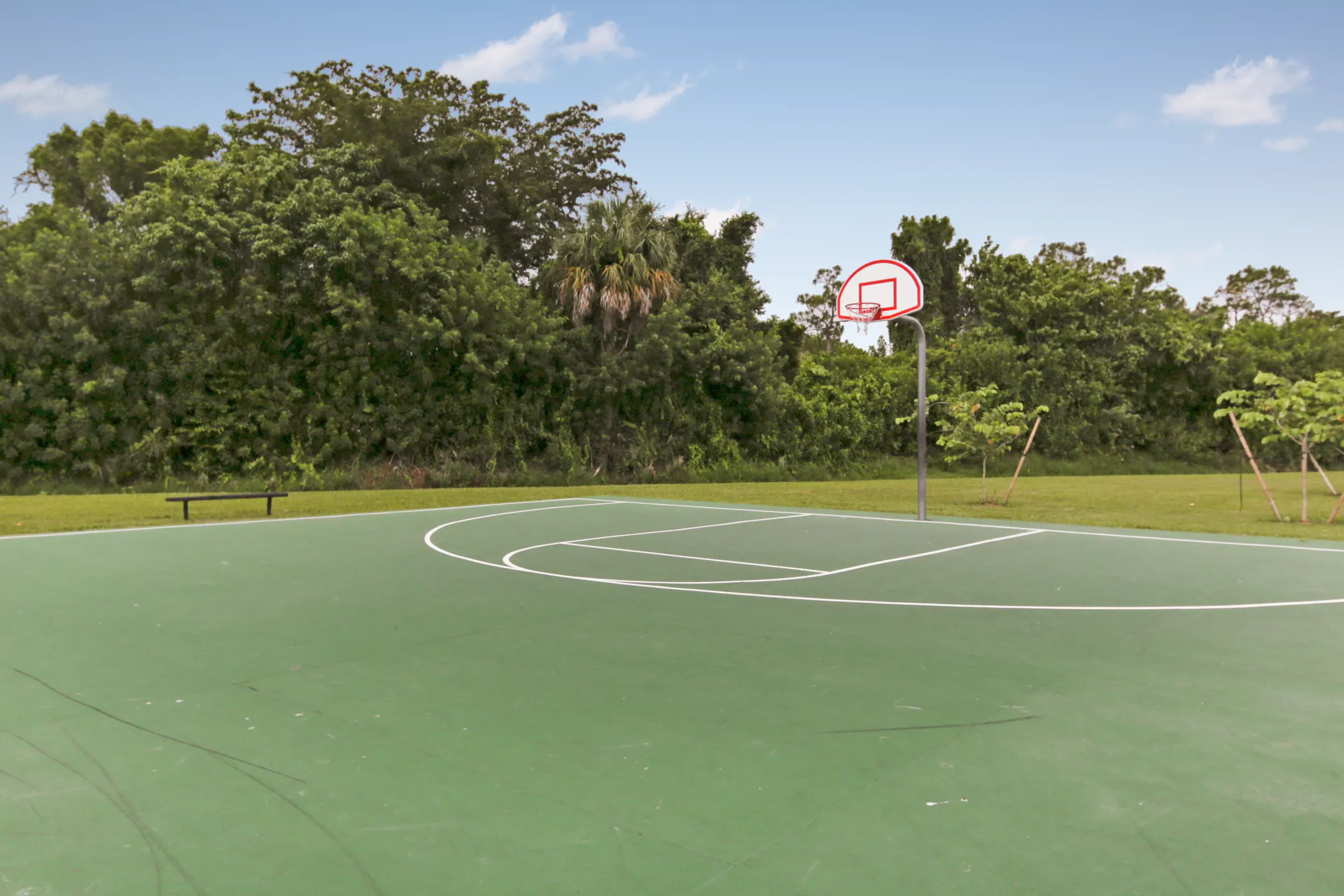 Basketball Court - Lago del Sol - Fort Myers, FL