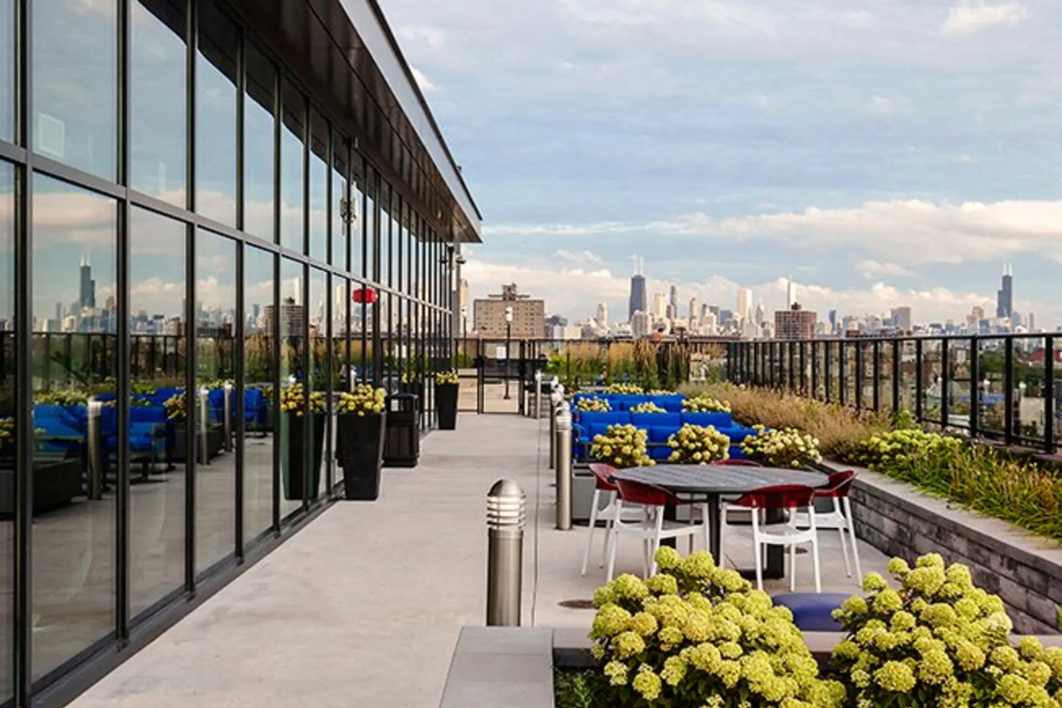 Patio / Deck - The Residences at Addison and Clark - Chicago, IL