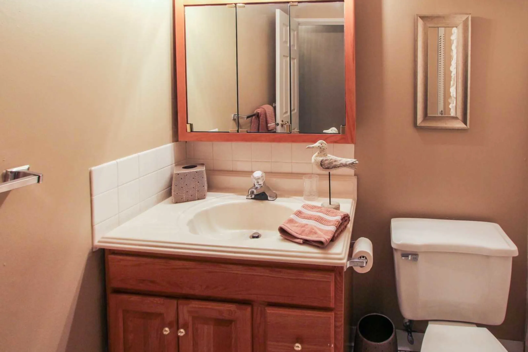 Bathroom - Hillbrook Apartments - Youngstown, OH