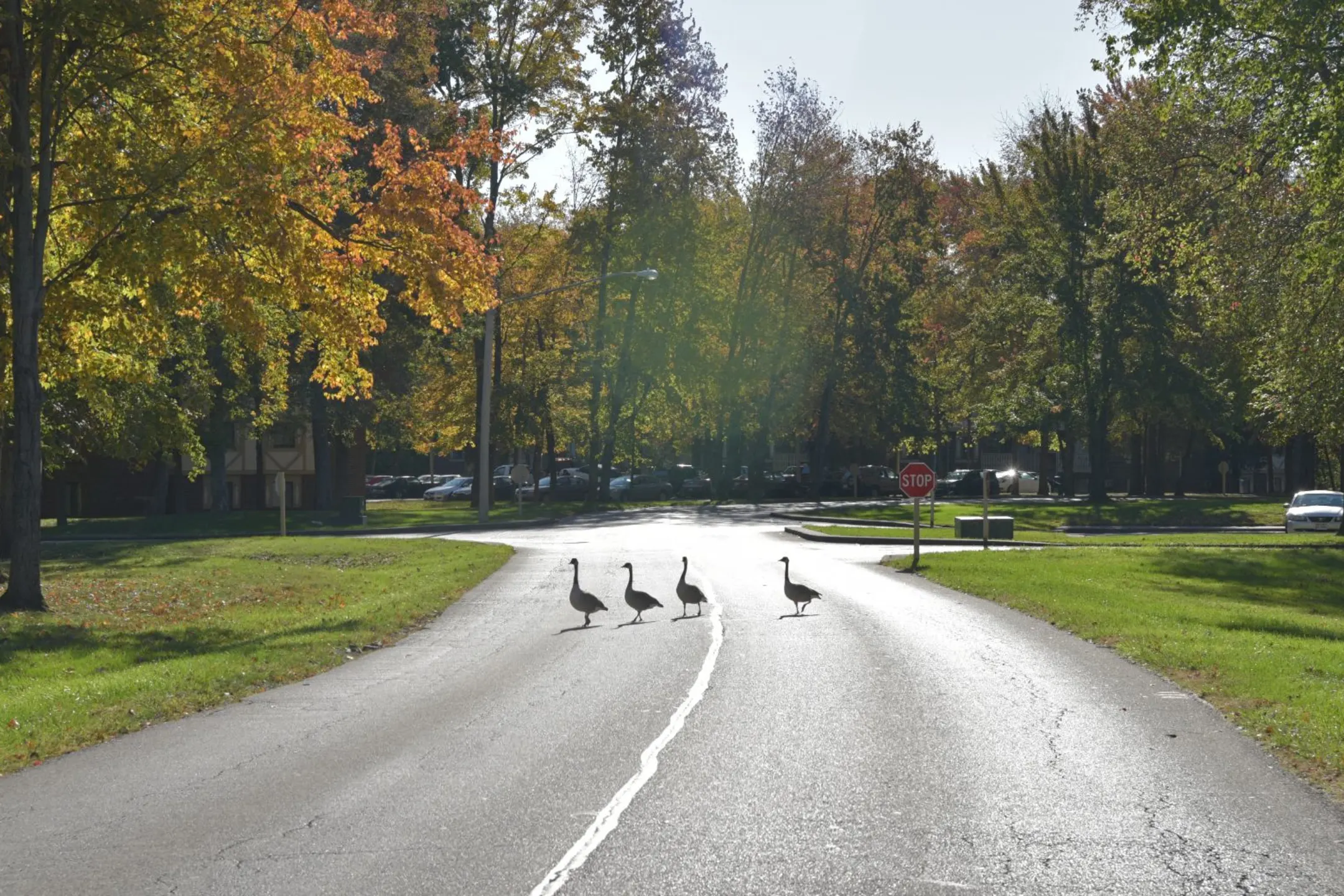 Eastgate Woods 4412 Eastwood Dr Batavia, OH Apartments for Rent Rent.