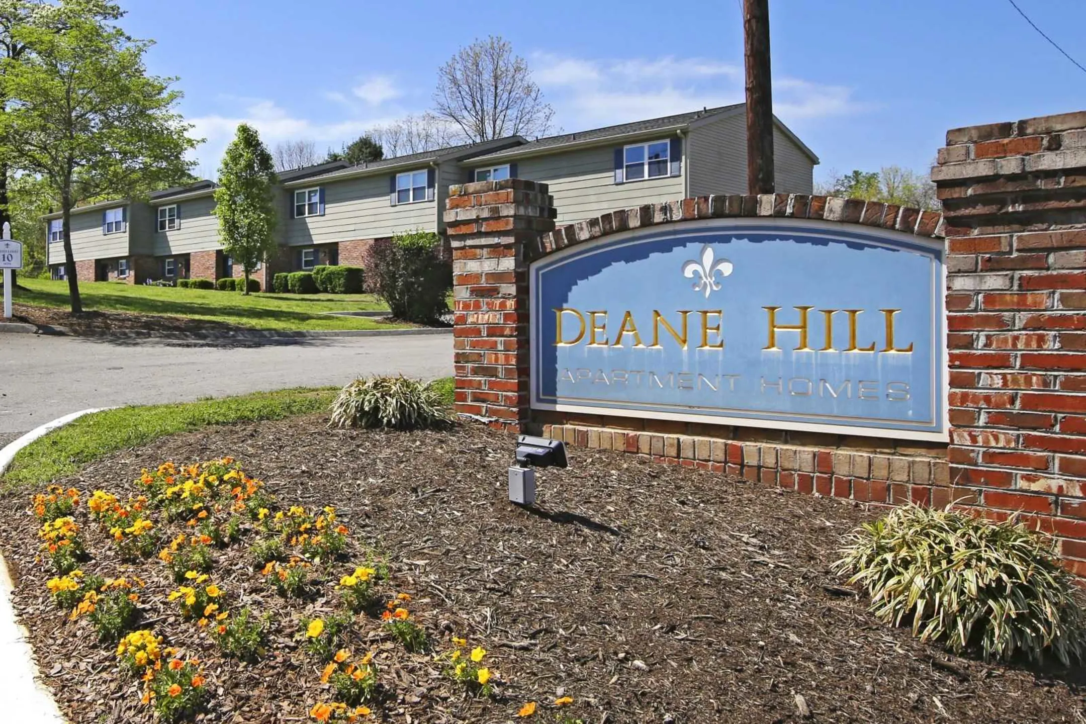 Deane Hill Apartment