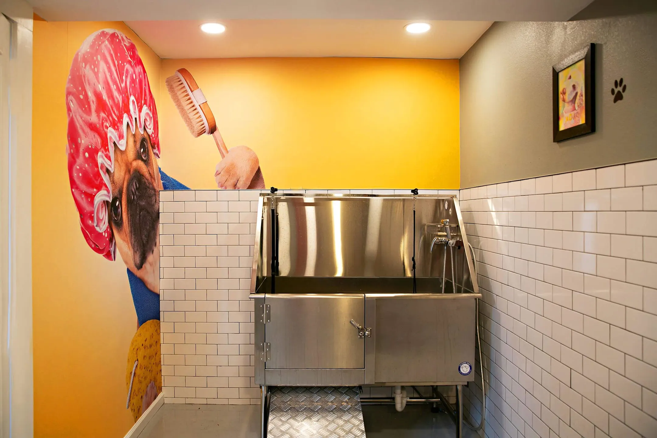 The Edge 3939 Rosemeade Pkwy Dallas, TX Apartments for Rent Rent.