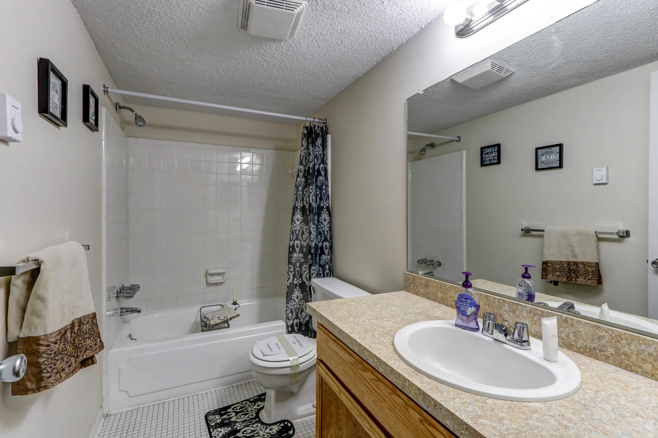 Bathroom - Clinton Manor Apartments - Harrison Township, MI