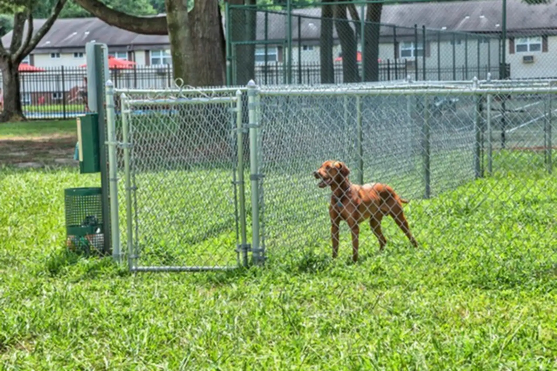 Cedar Brook Apartments Pine Hill, NJ 08021