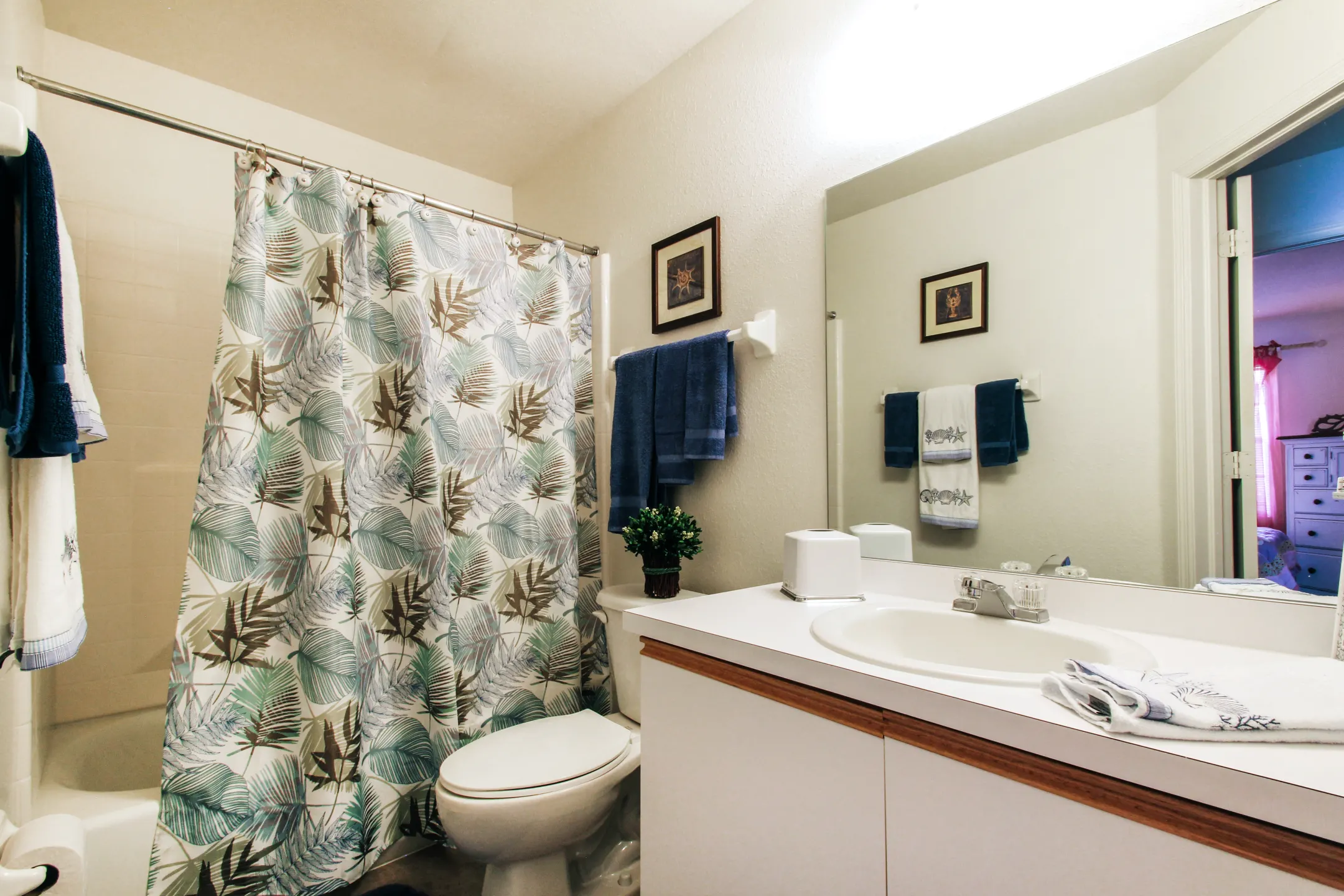 Bathroom - Carlton Arms Of North Lakeland - Lakeland, FL